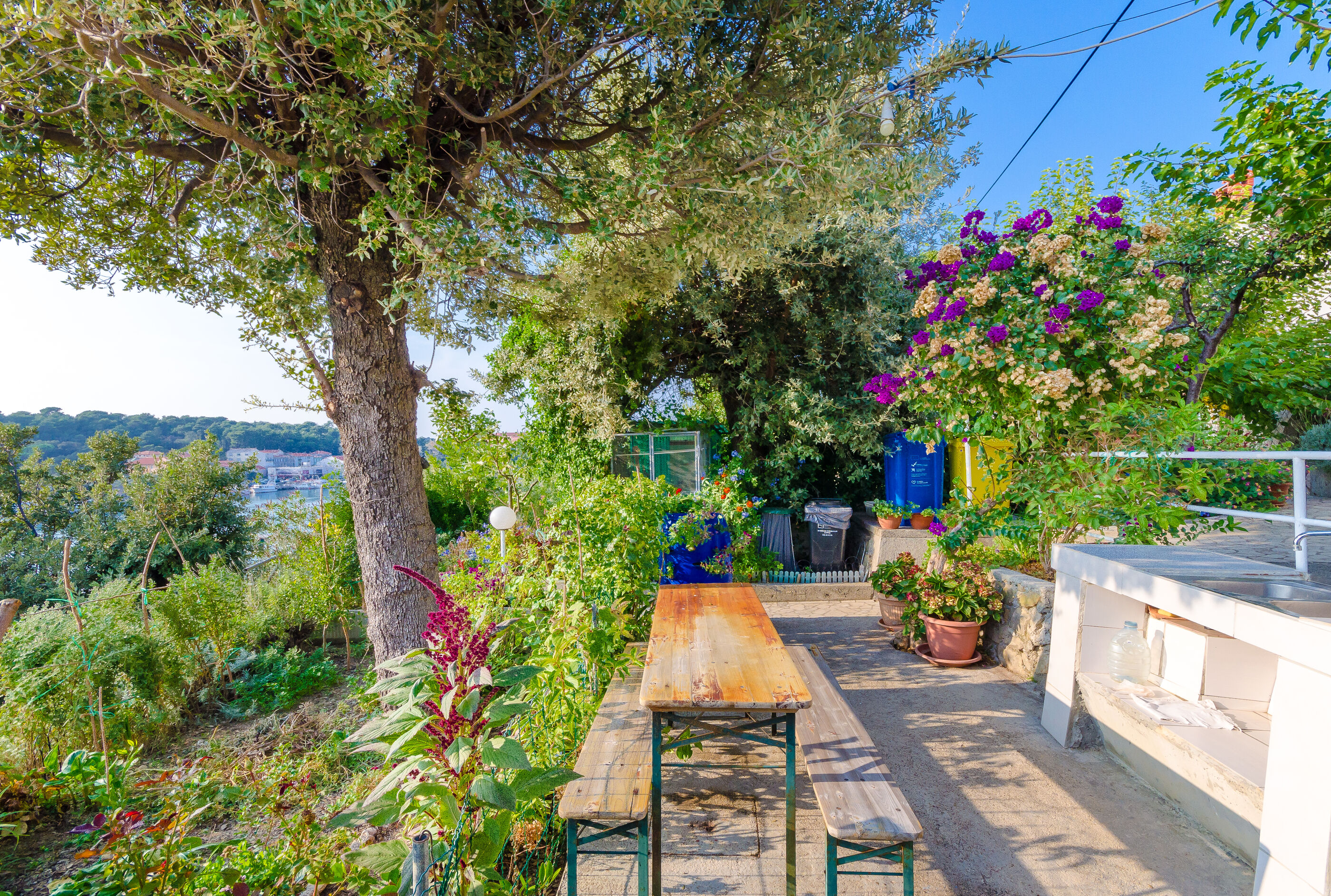 Apartments Zarko 90091-A1