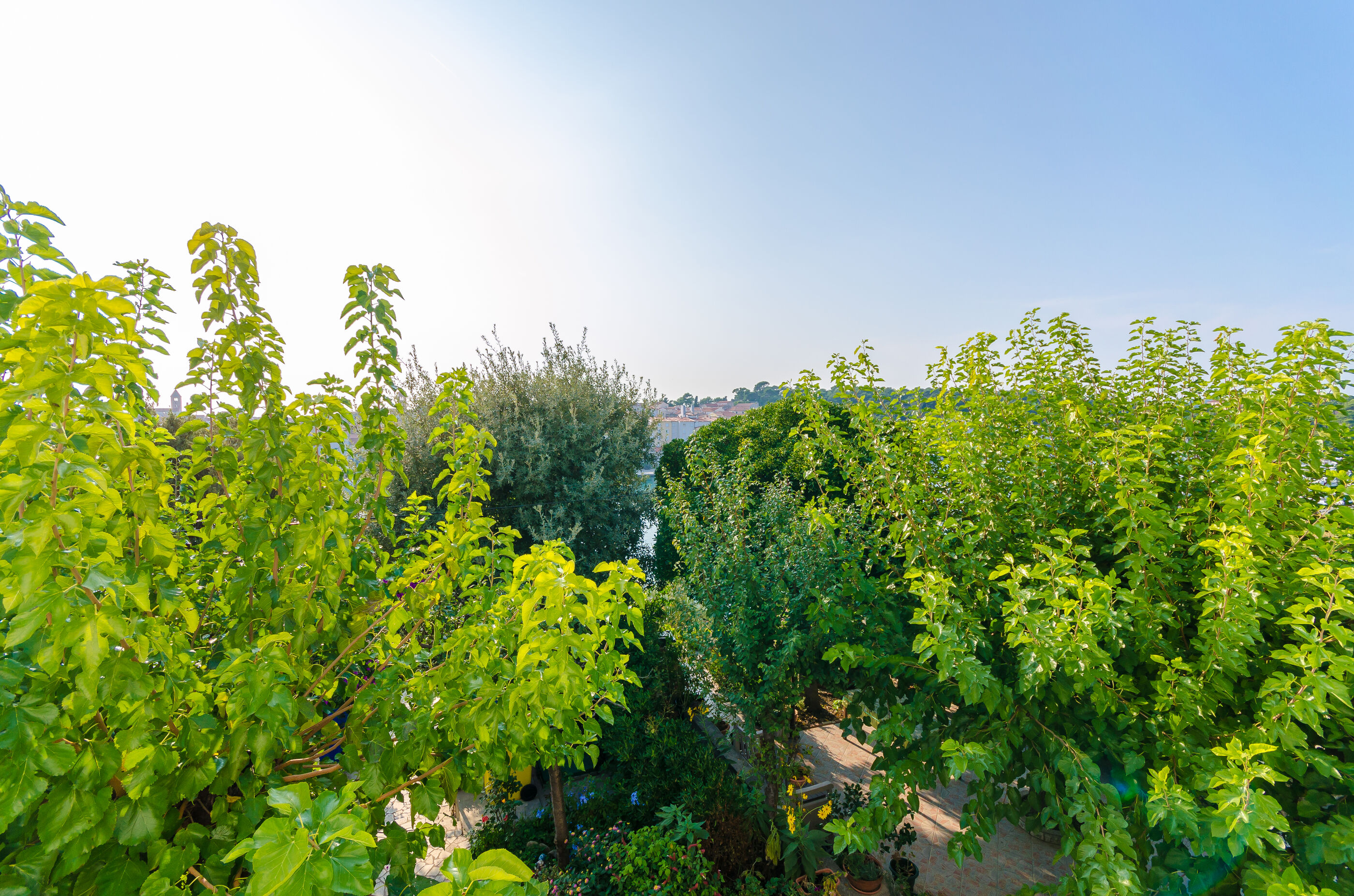 Apartments Zarko 90091-A2