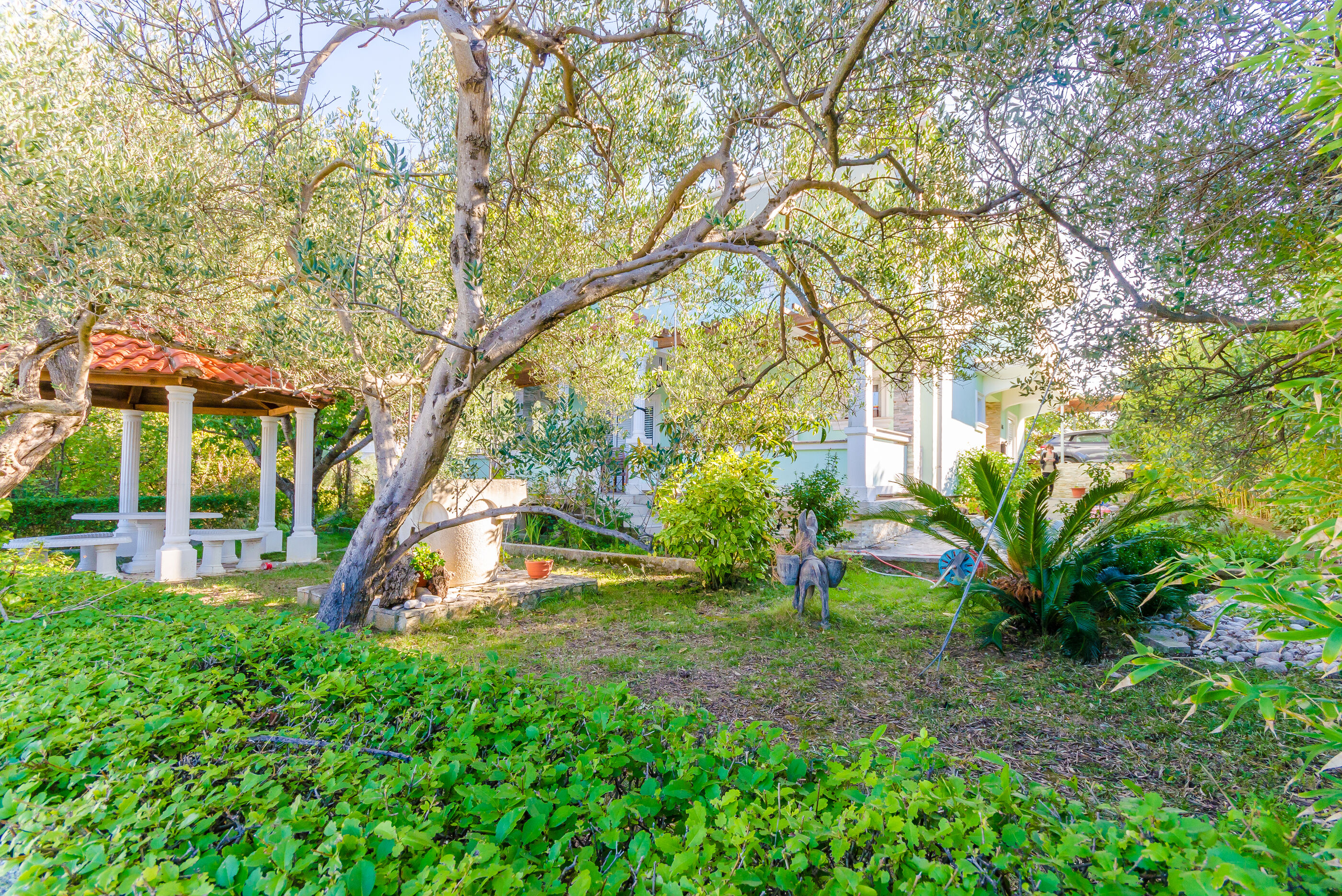 Photo of Apartments Marija G