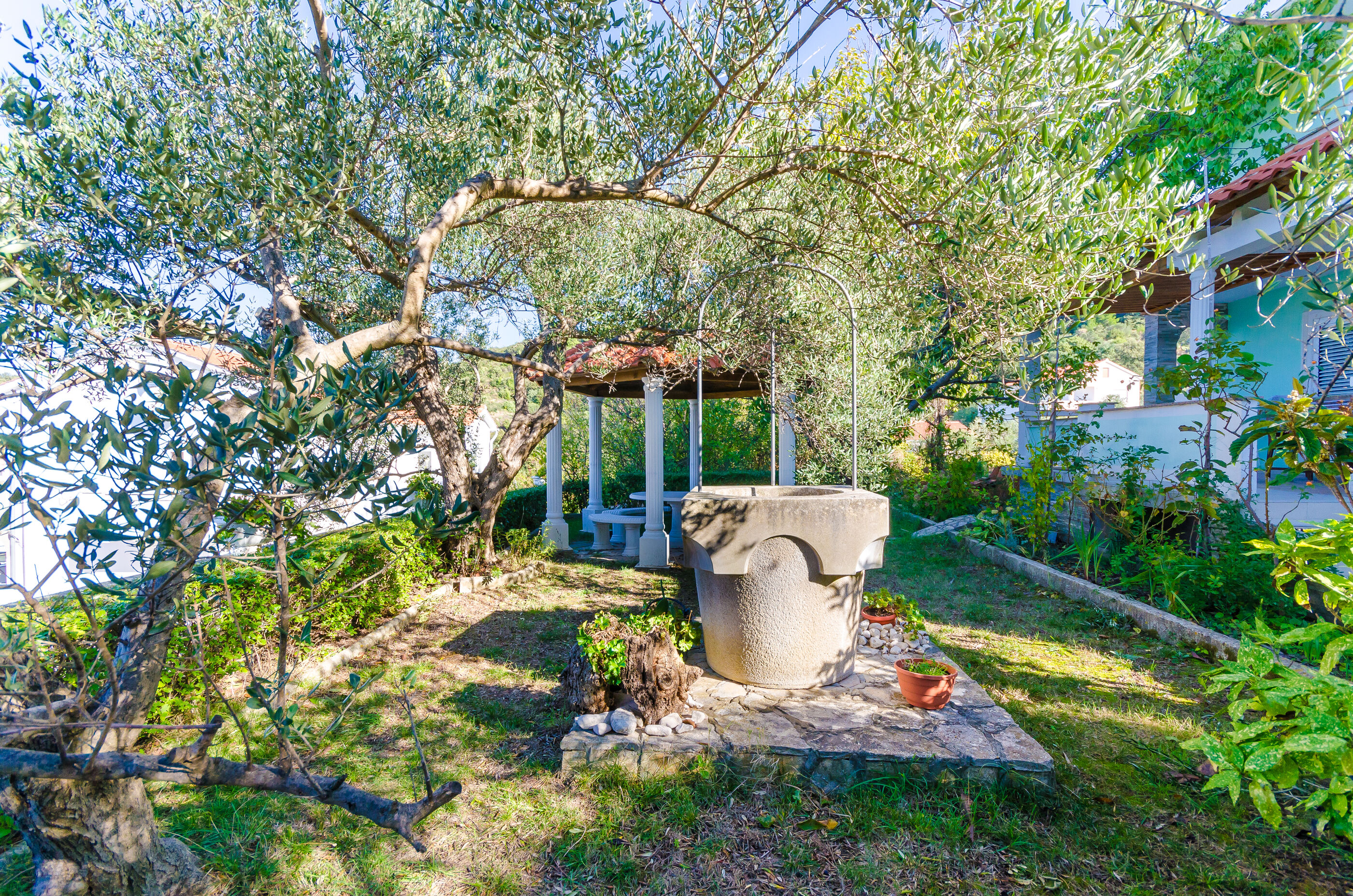 Photo of Apartments Marija G