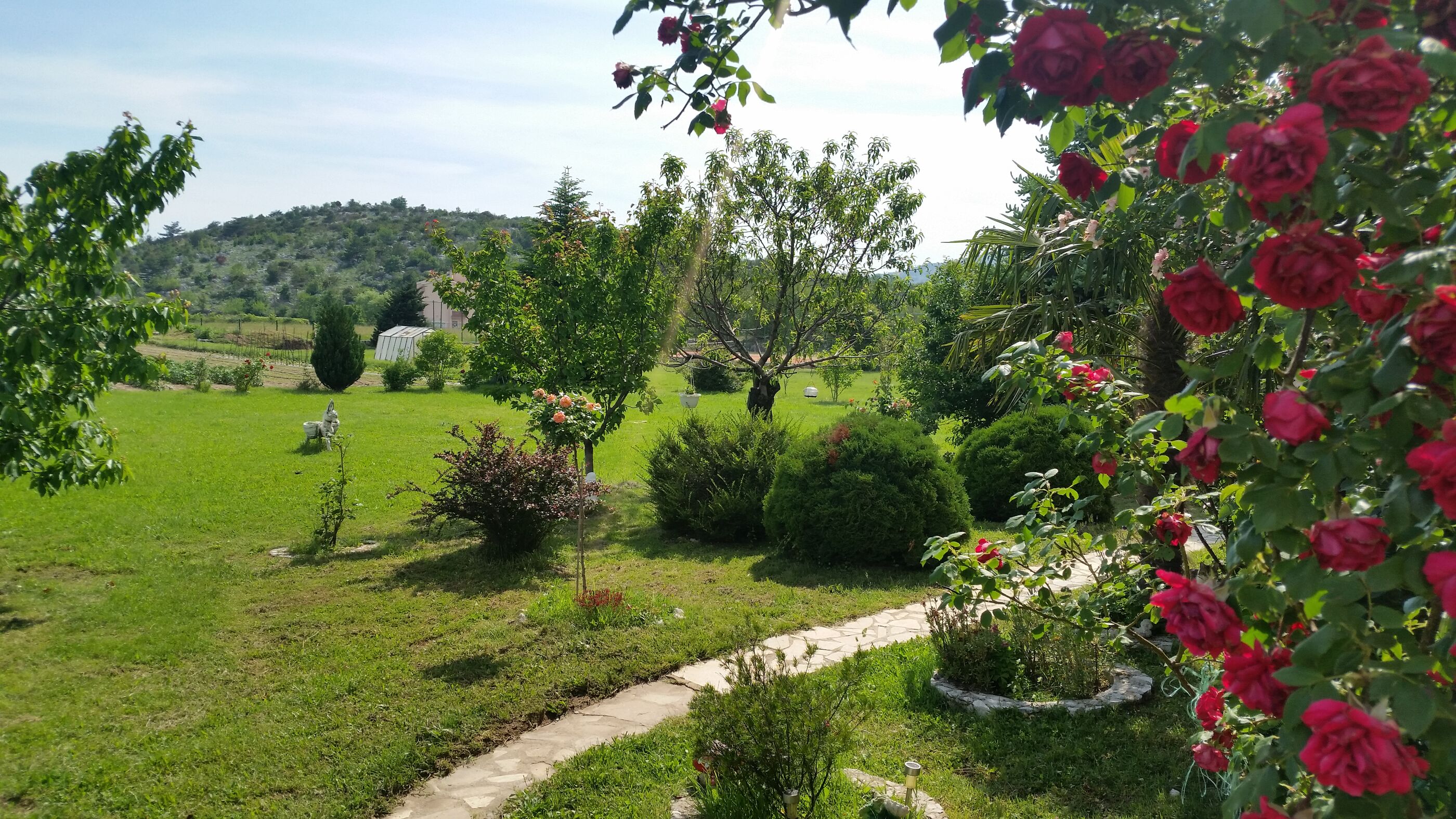 Photo of Villa Almas