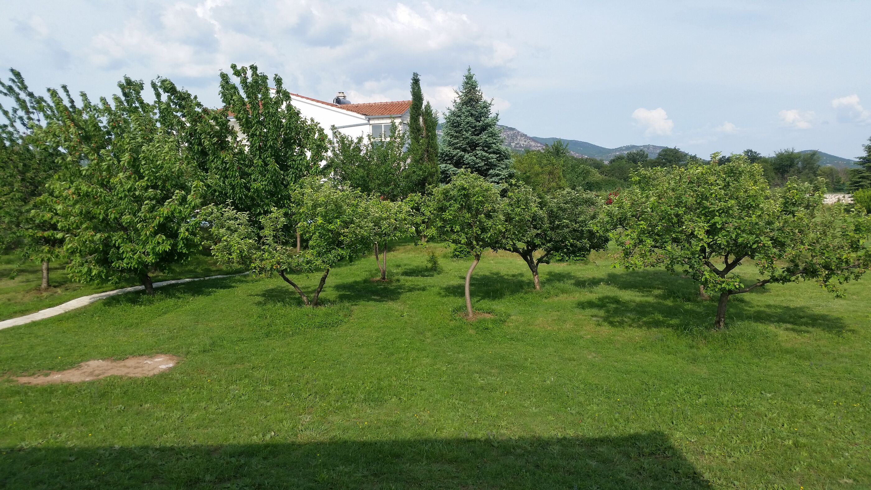 Photo of Villa Almas