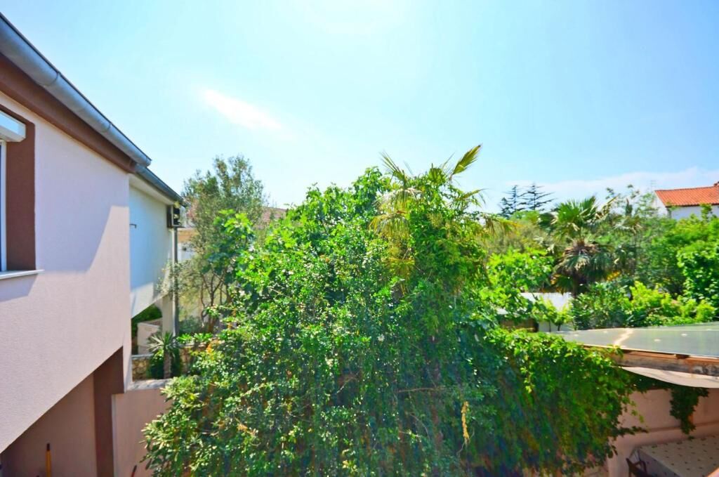 Apartments Ivan Marina 67541-A1