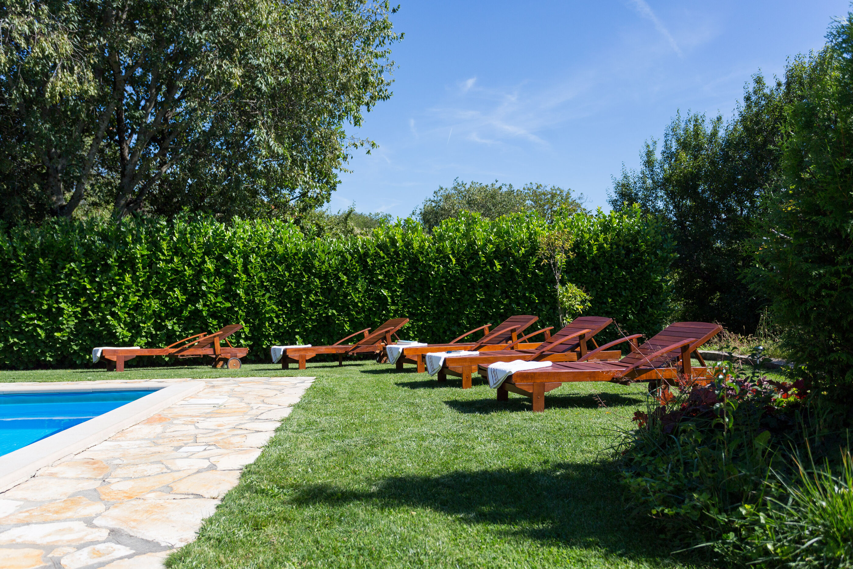 Villa Green Oasis V9621-K1