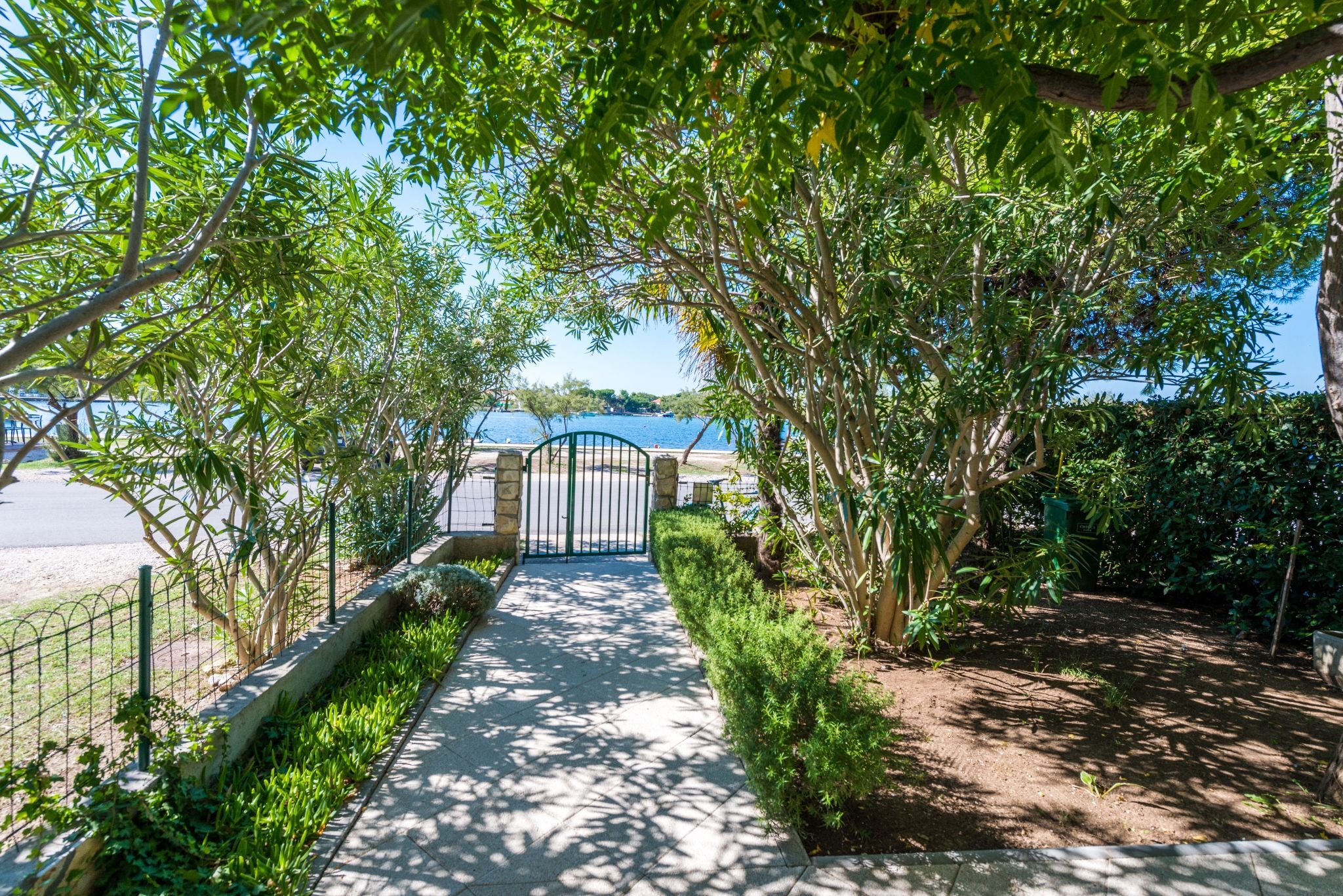 Photo of House Oleander