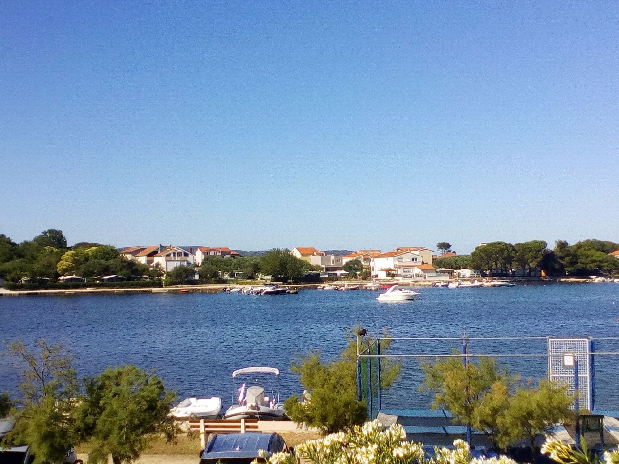 Photo of House Oleander