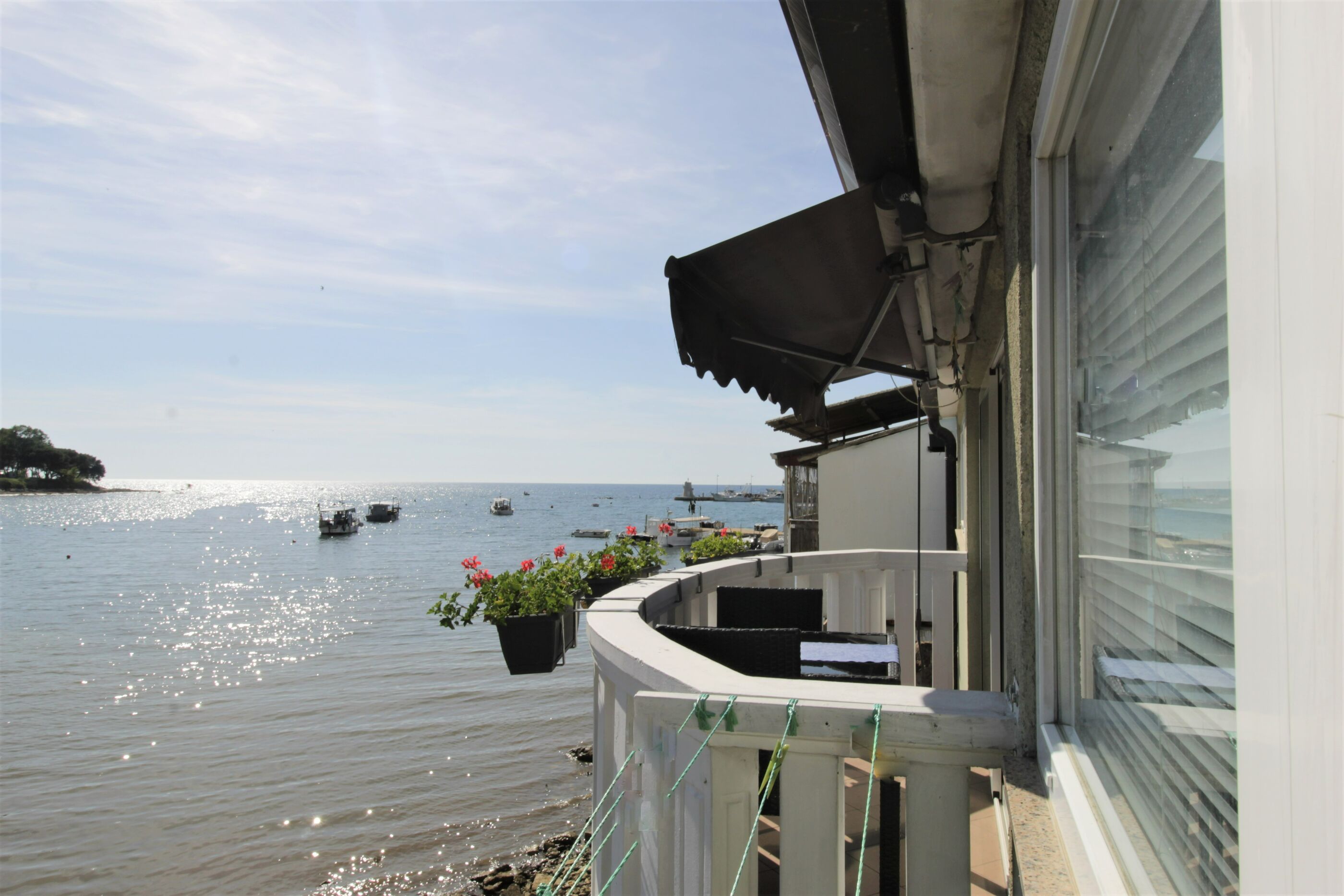 Apartment ASIMA 17481-A1