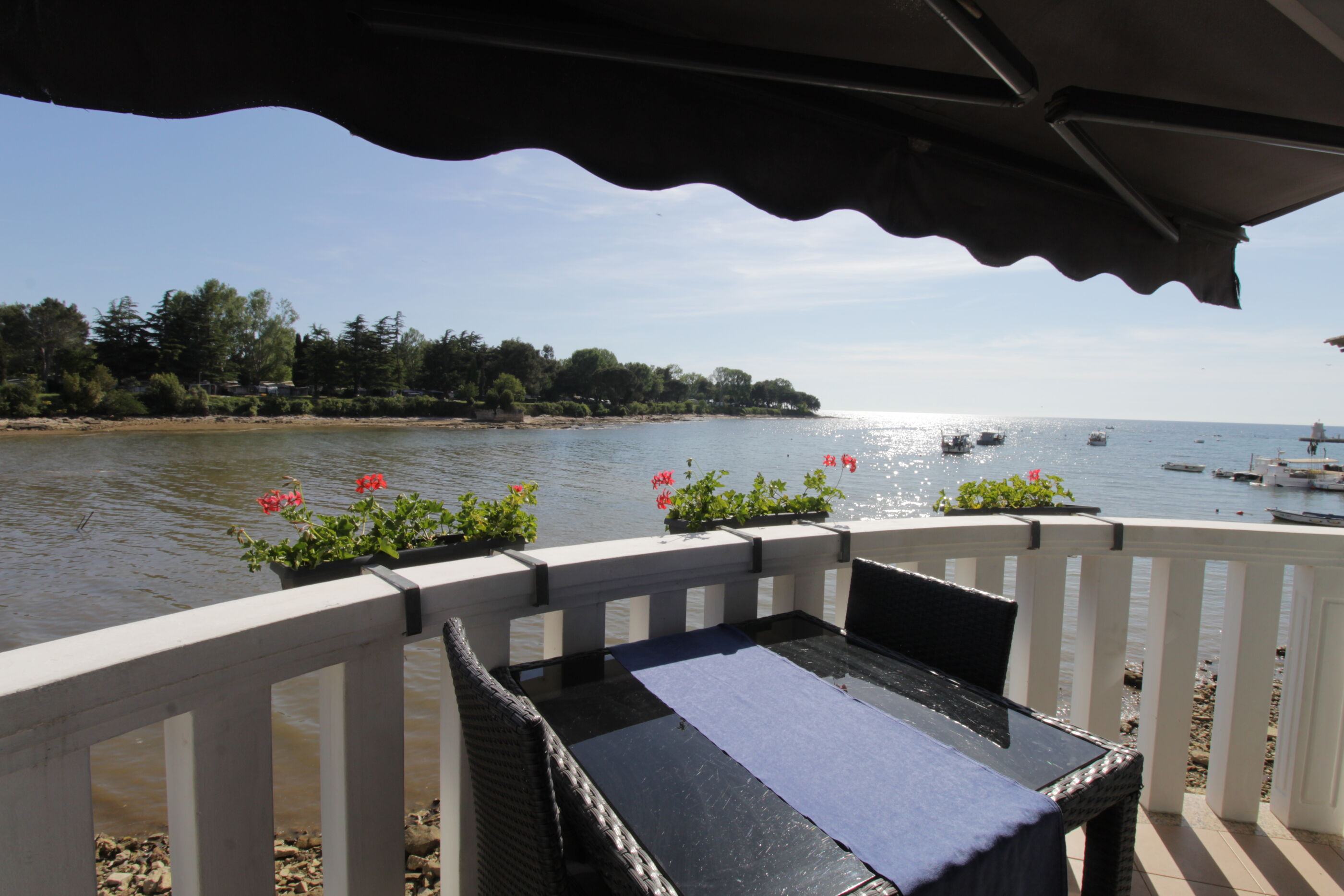 Apartment ASIMA 17481-A1