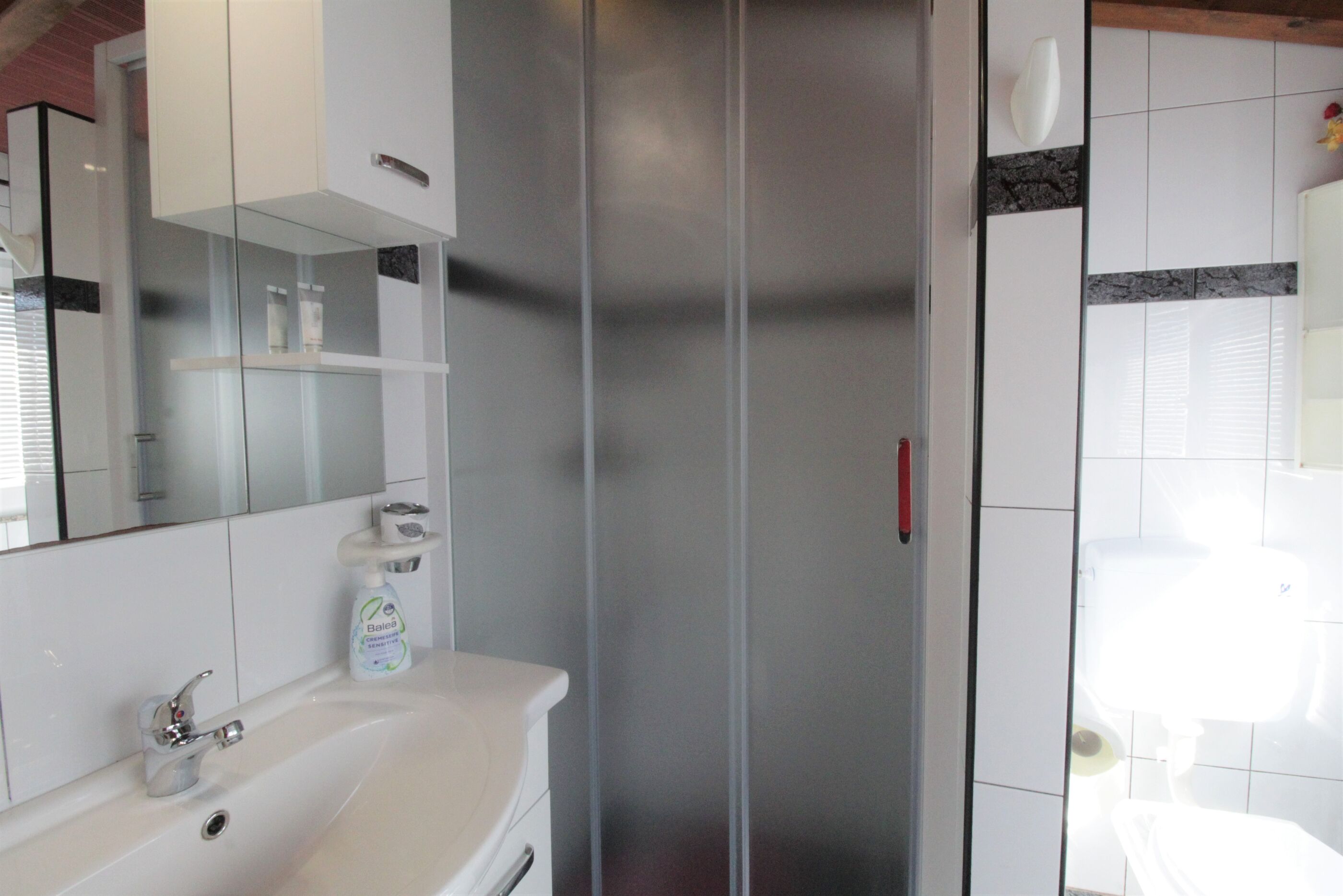Apartment ASIMA 17481-A1