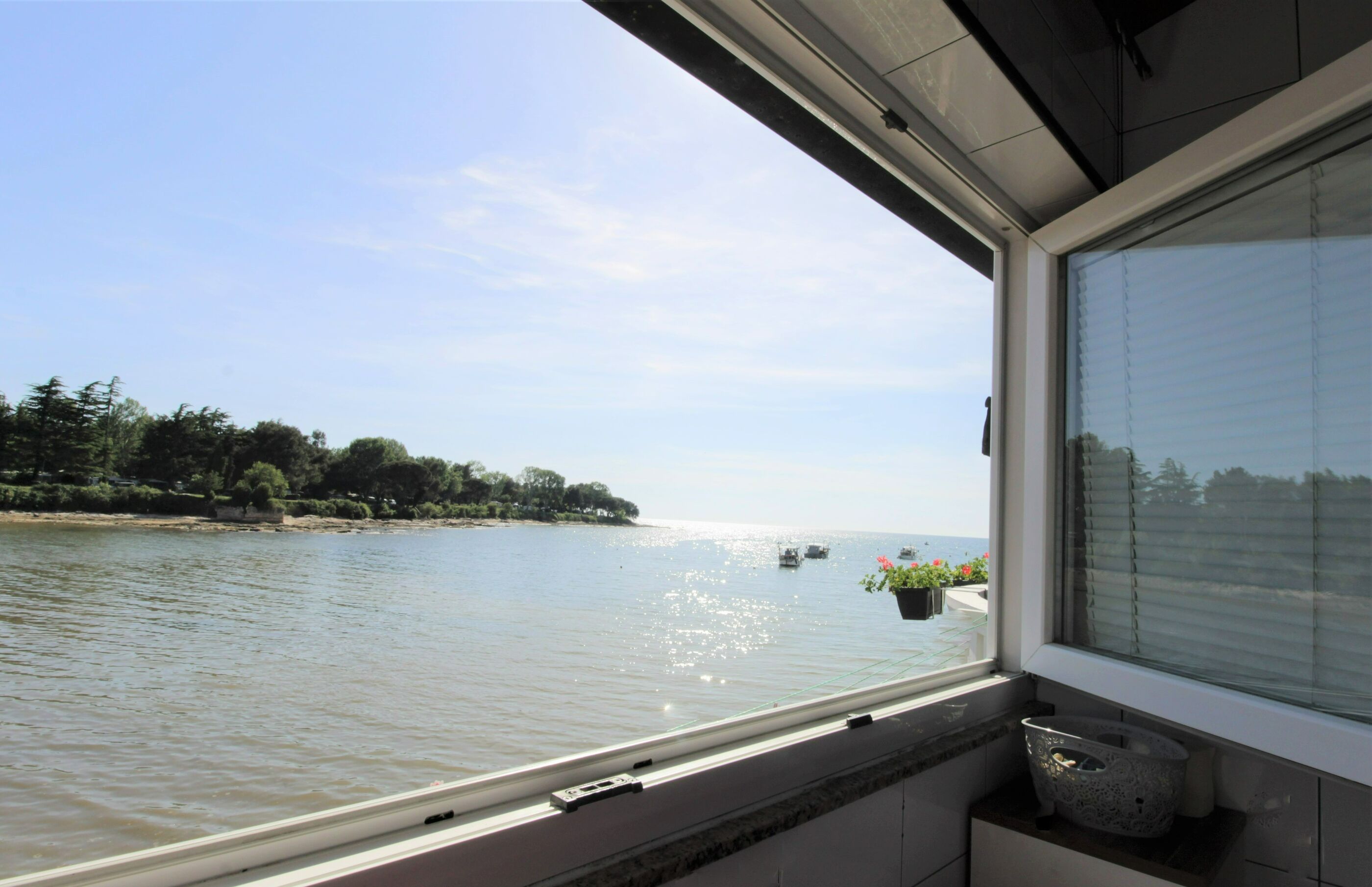 Apartment ASIMA 17481-A1