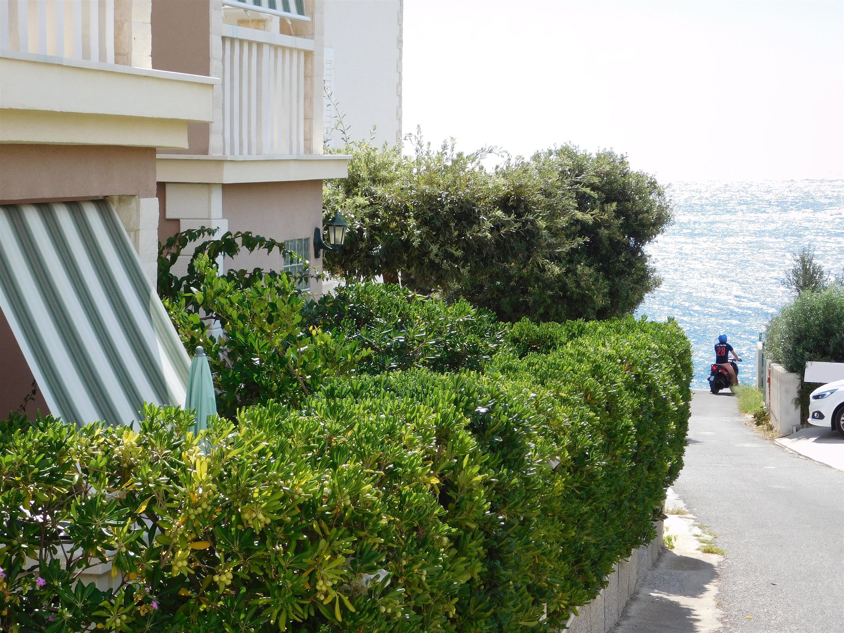 Apartments Mirjana 45561-A1