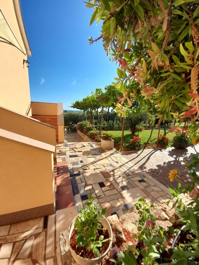 Apartments Graziella Zambratija 90323-A2