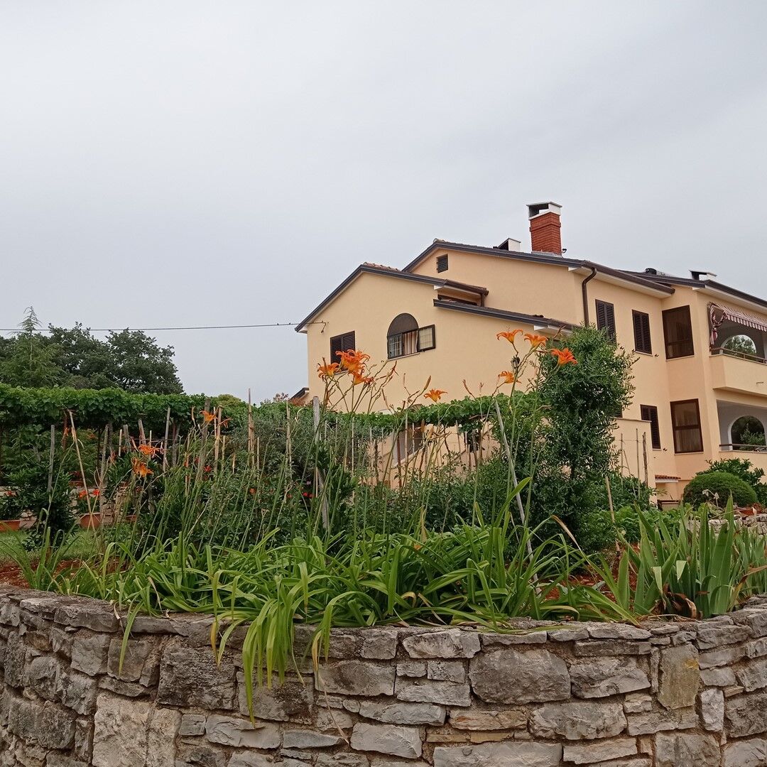 Apartments Graziella Zambratija 90323-A2