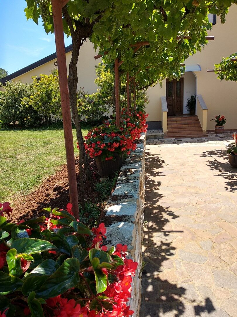 Apartments Graziella Zambratija 90323-A2