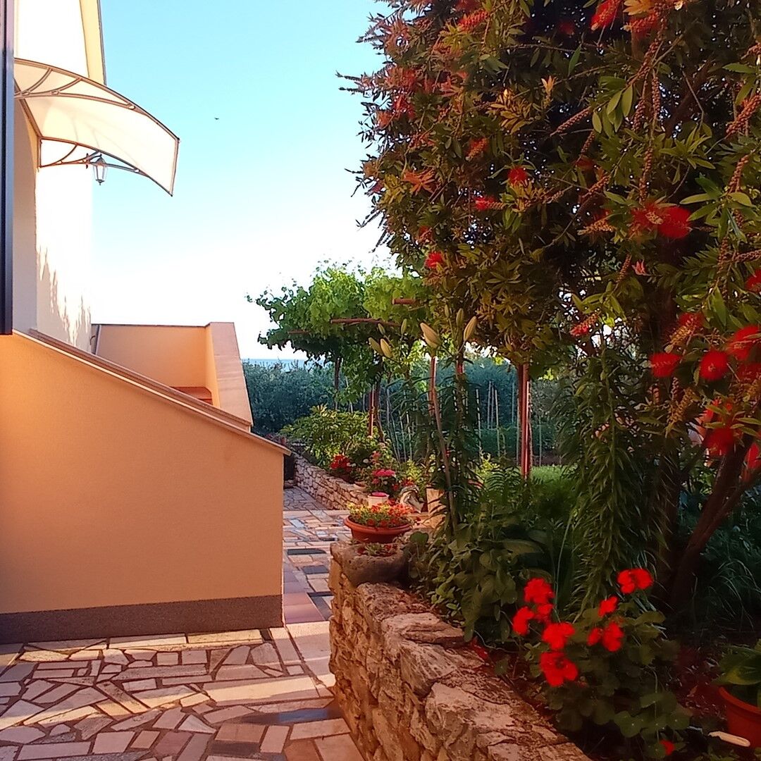 Apartments Graziella Zambratija 90323-A2