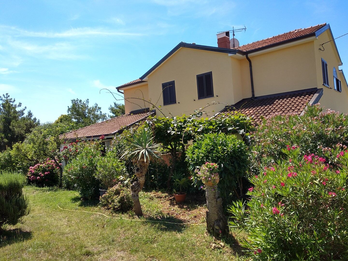 Apartments Graziella Zambratija 90323-A2