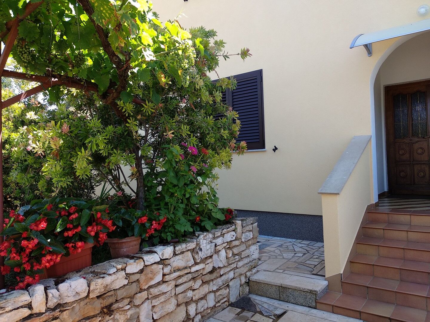 Apartments Graziella Zambratija 90323-A1