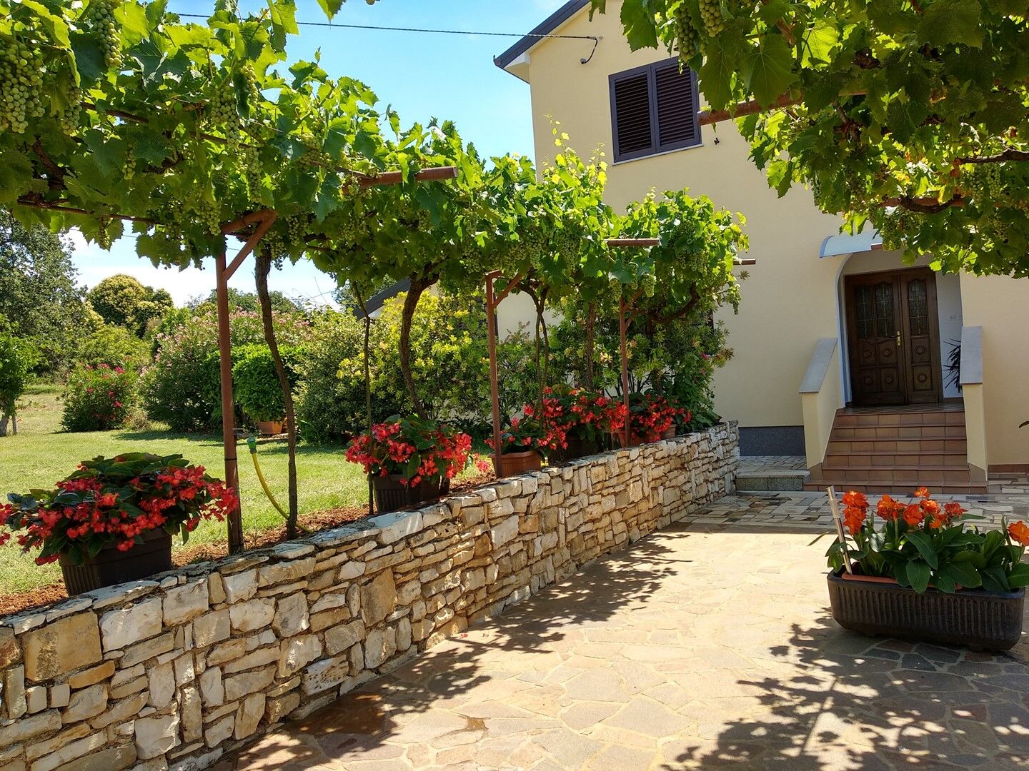 Apartments Graziella Zambratija 90323-A2