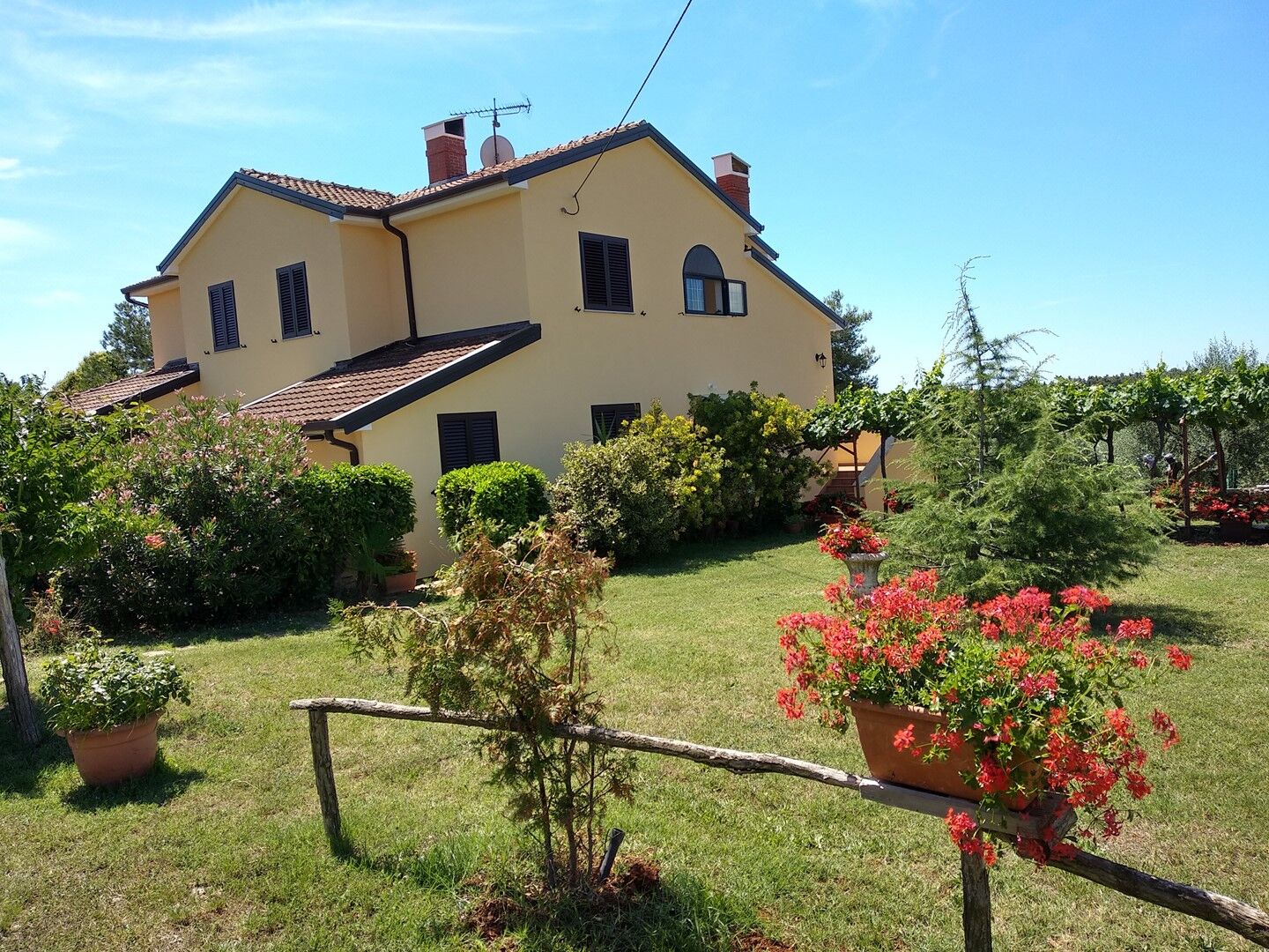 Apartments Graziella Zambratija 90323-A2