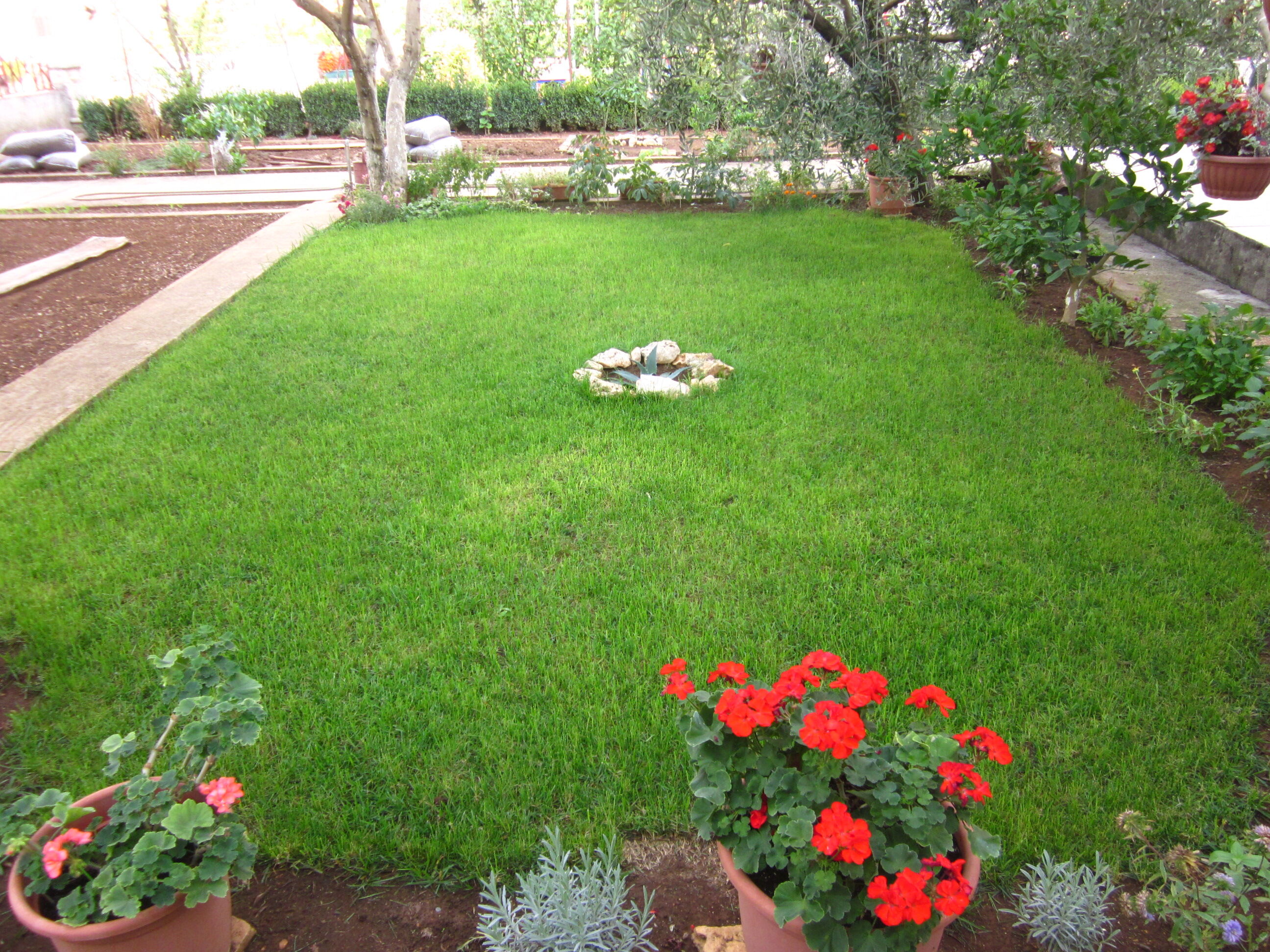 Apartments Mactra 14664-A1
