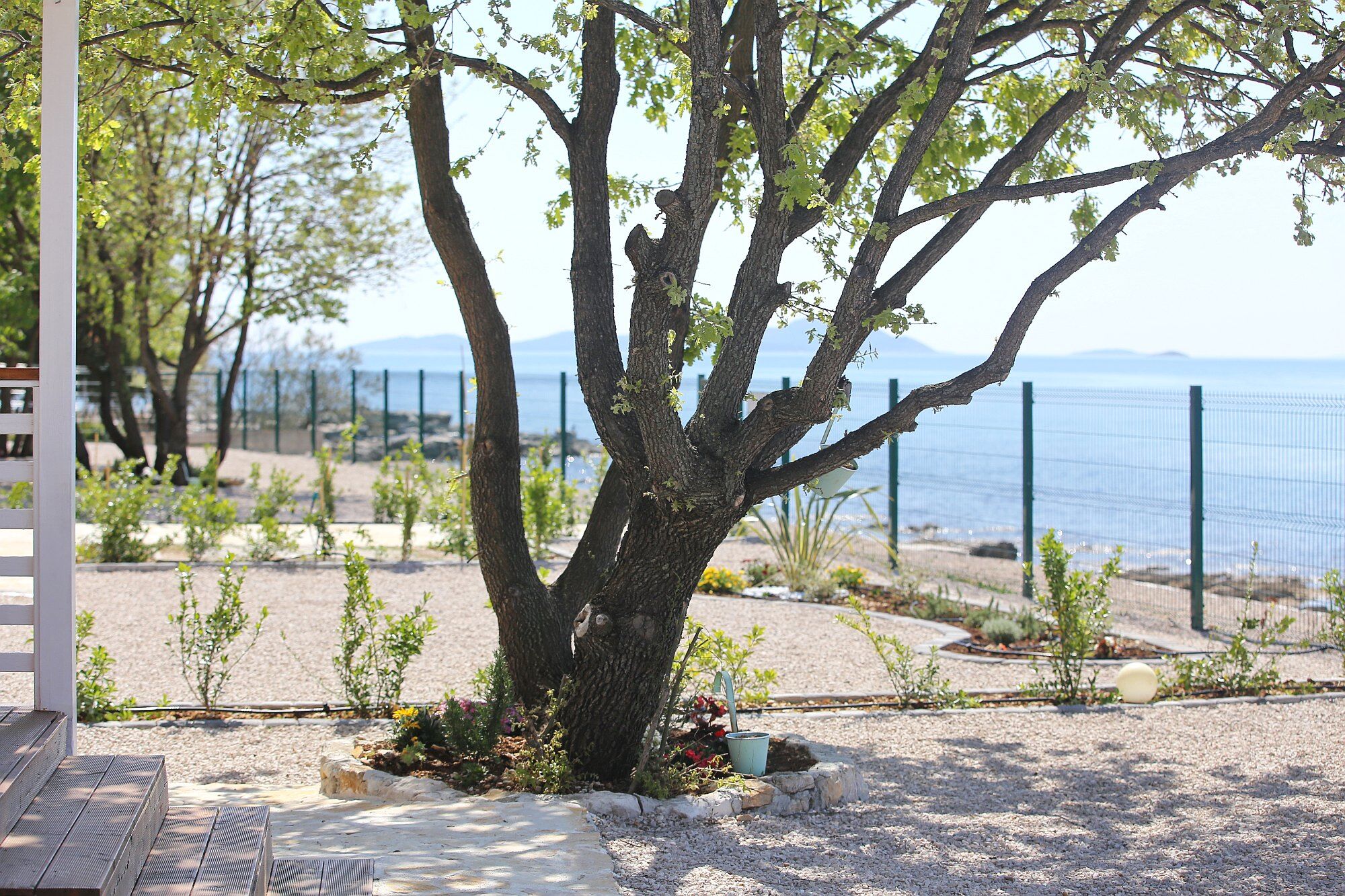 Photo of Mobile home Frangipani 3