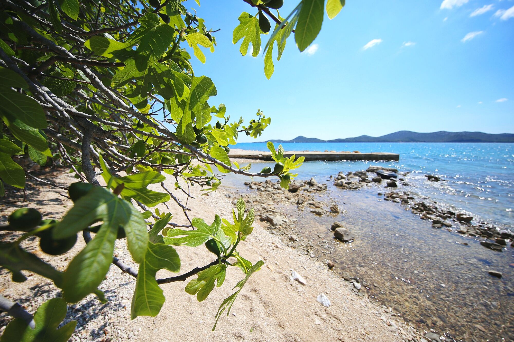 Photo of Mobile home Pen Shell