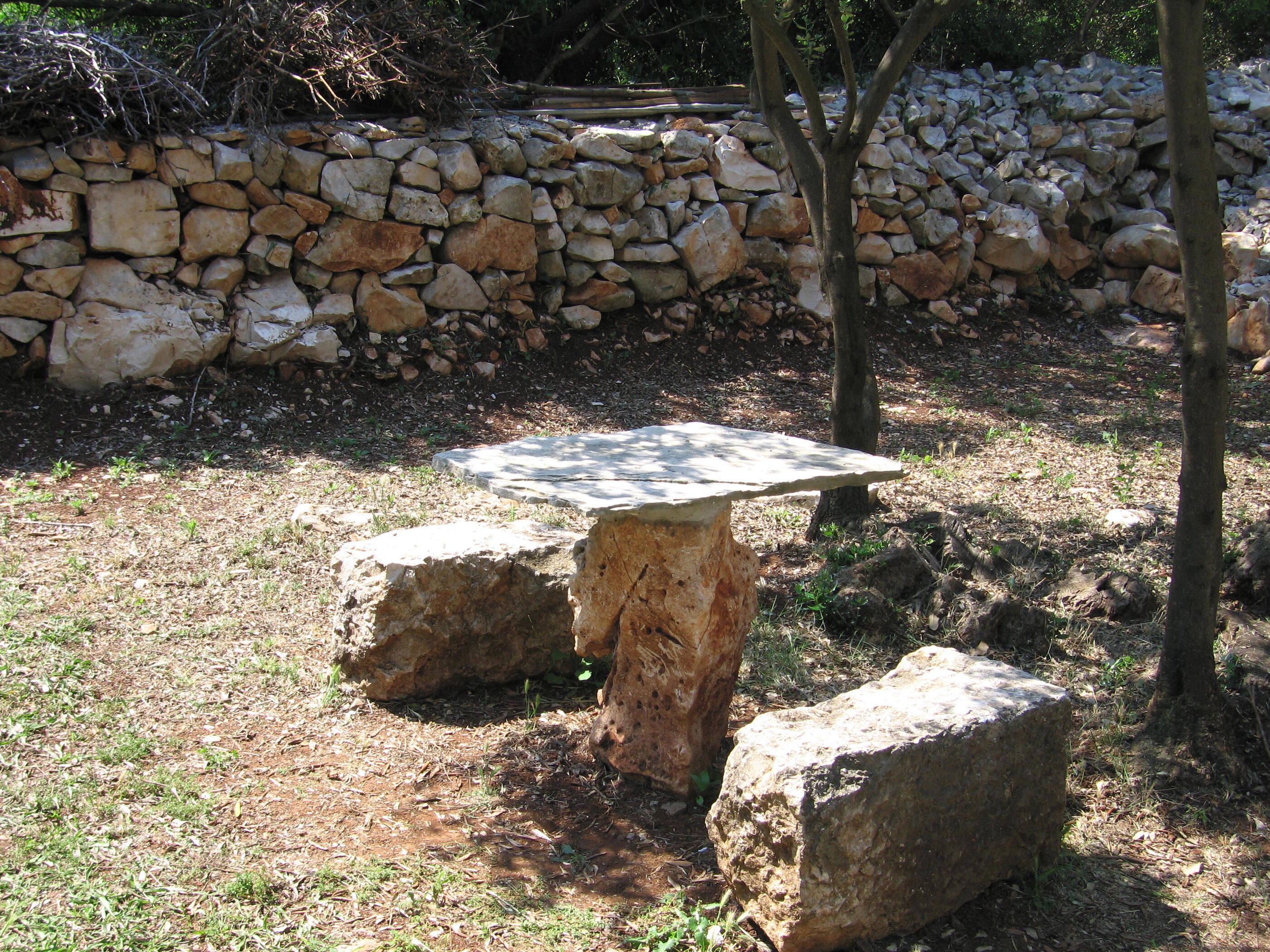 Photo of Apartments Željko