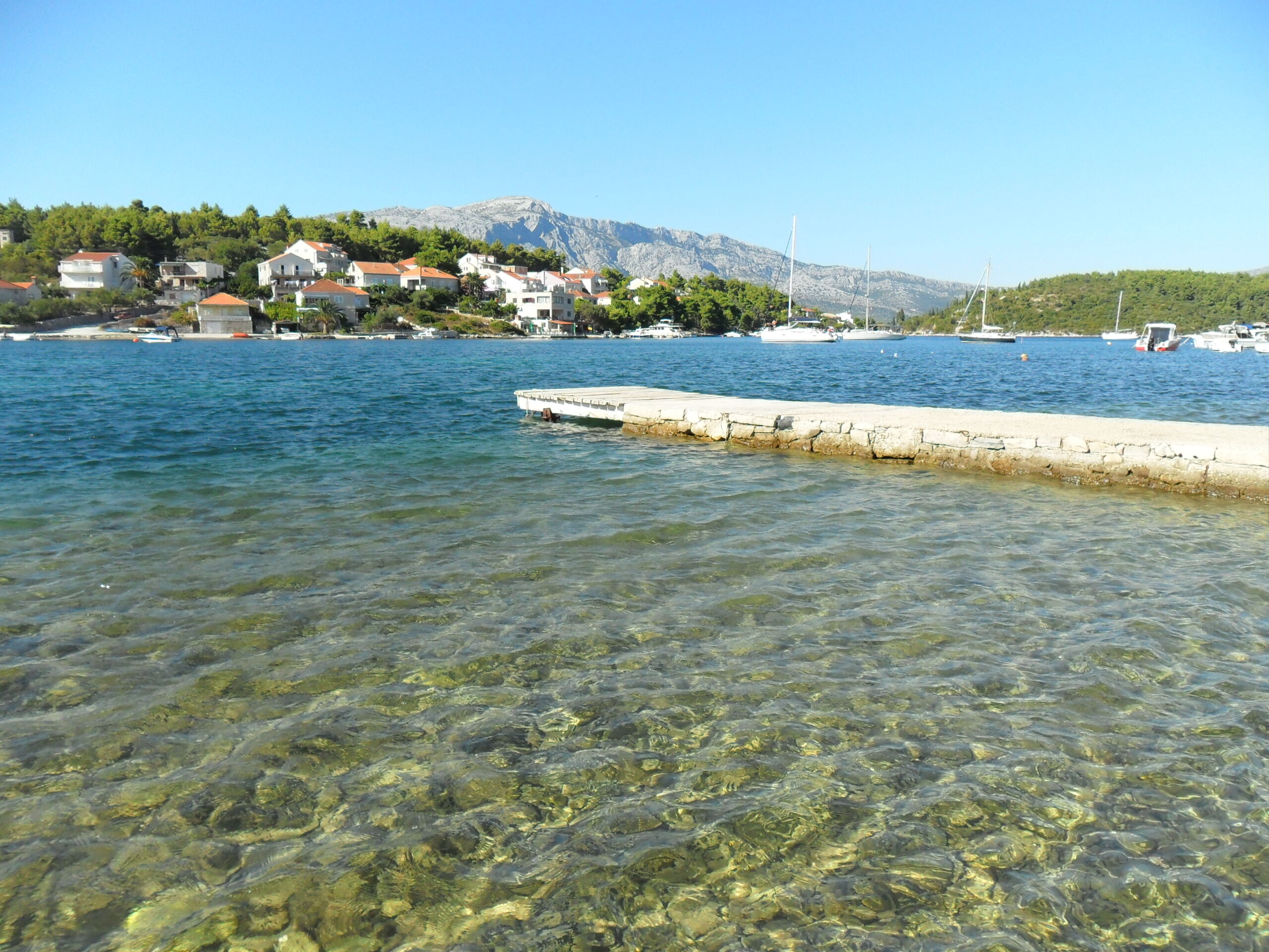 Photo of Apartments Željko