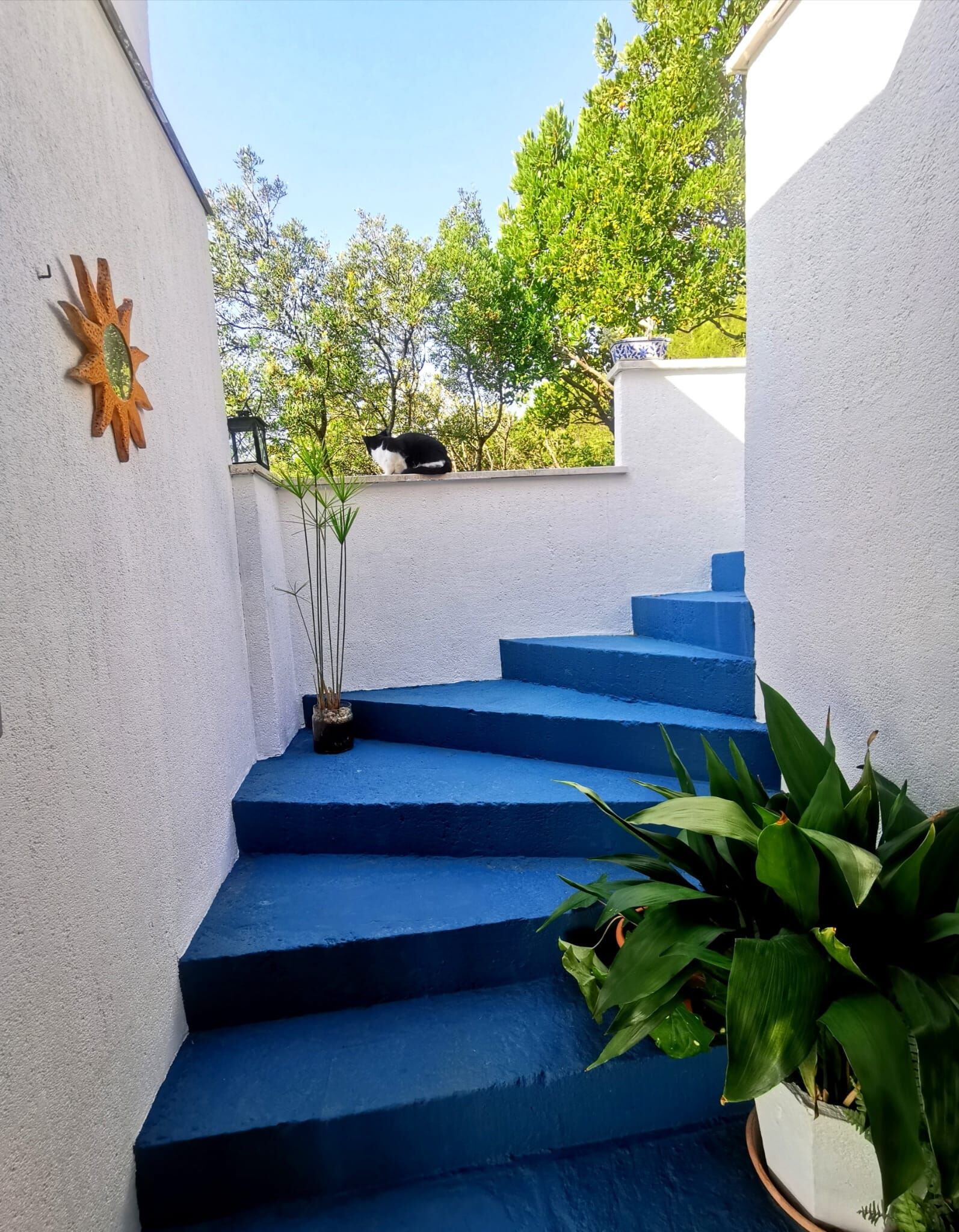 Apartments Ana 54051-A2