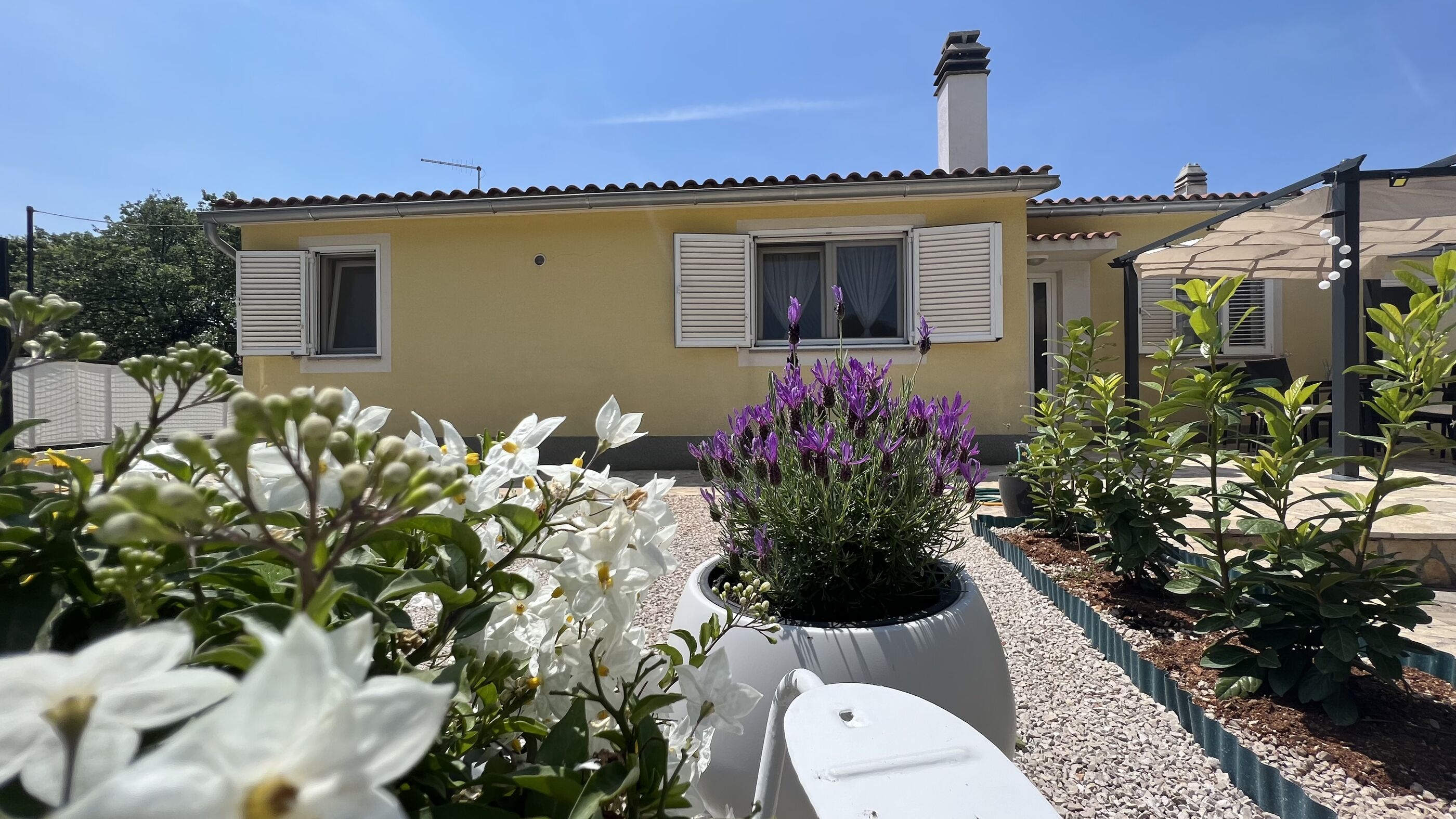 House Roca 90981-K1
