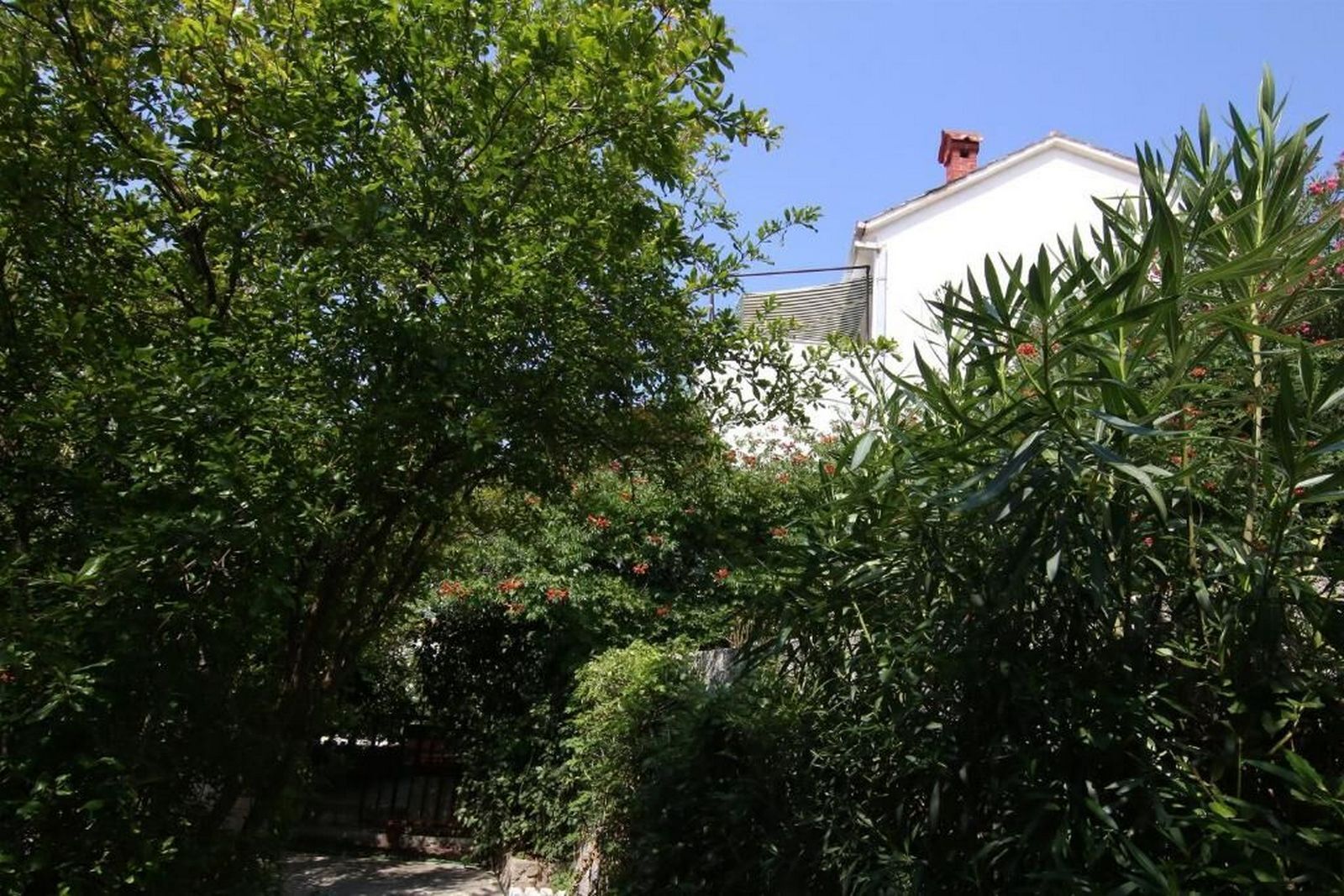 Apartments Vladimir 45171-A2
