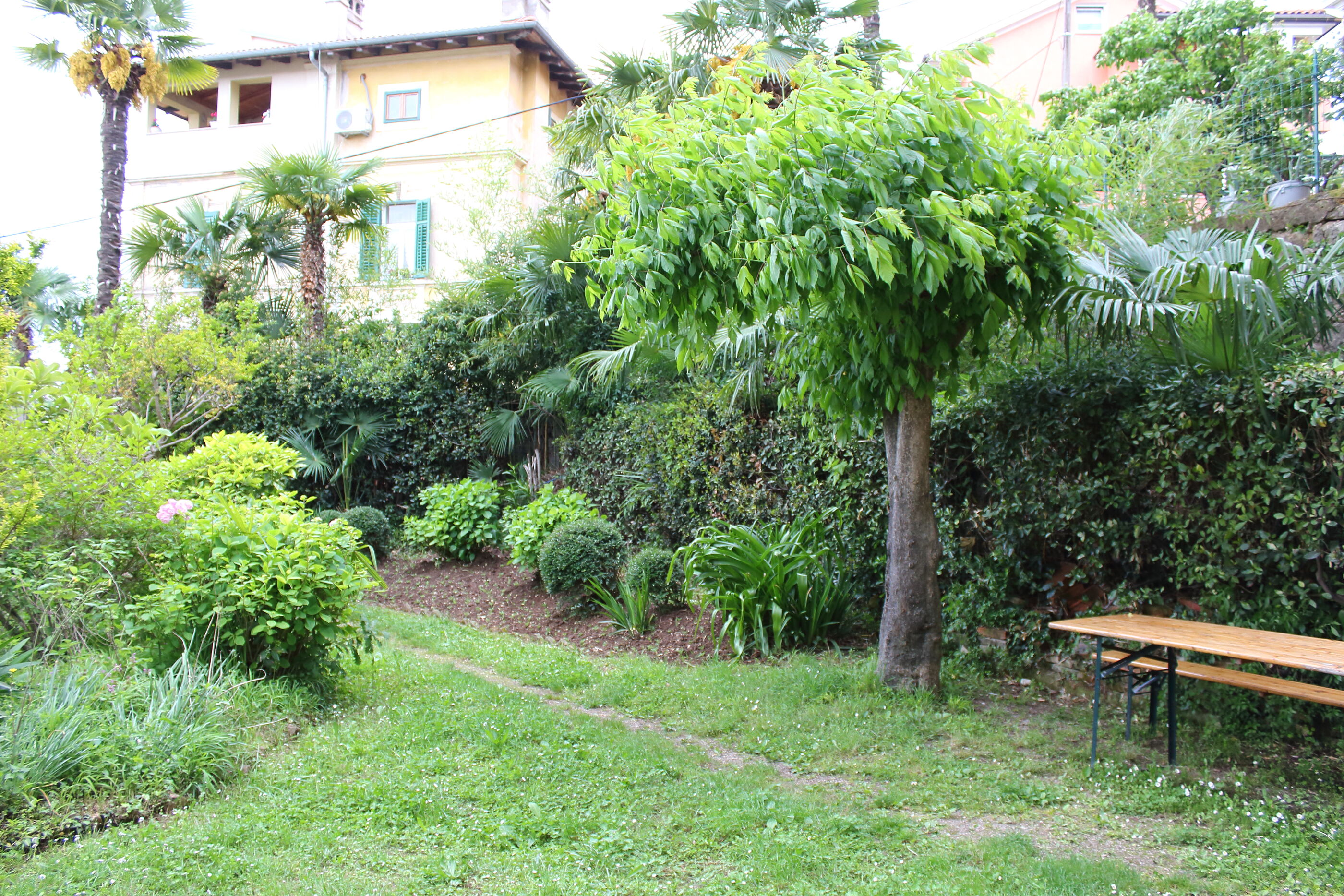 Apartments Rezine 65862-A2
