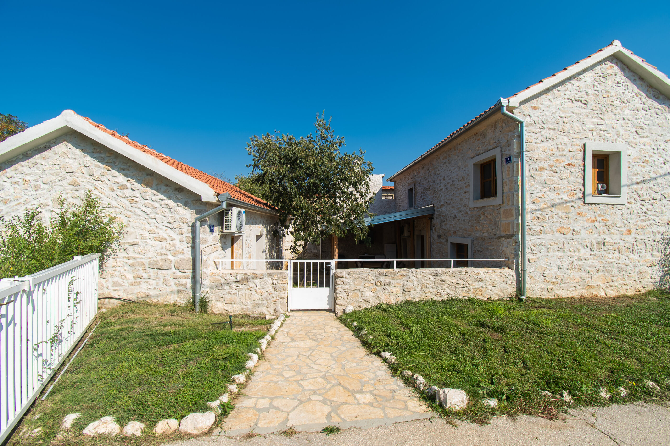 House Stone Curlew 1 91061-K1