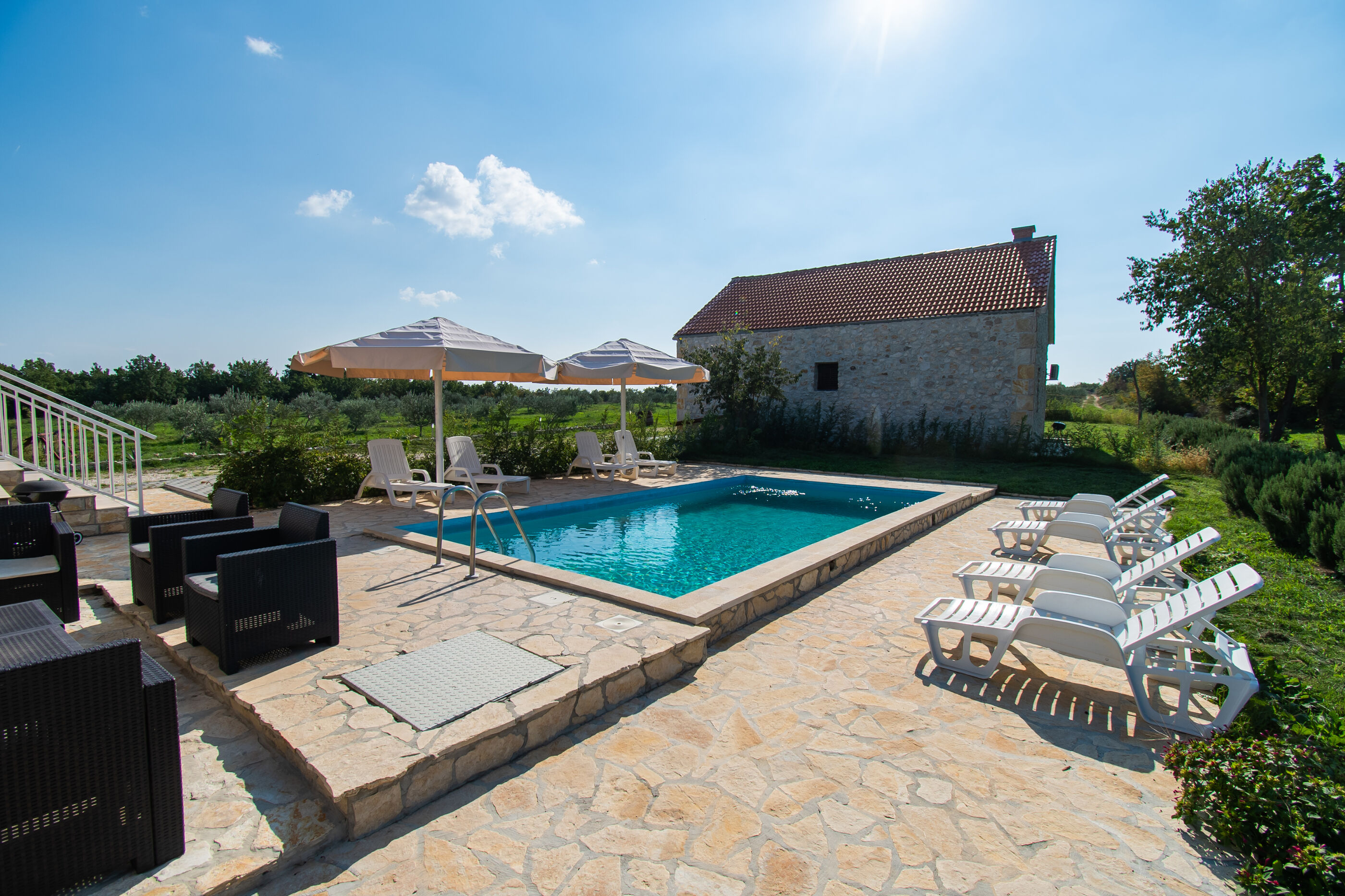House Stone Curlew 4 91091-K1