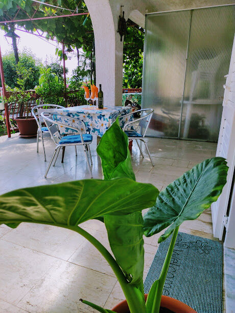 Apartments Mira 90871-A2
