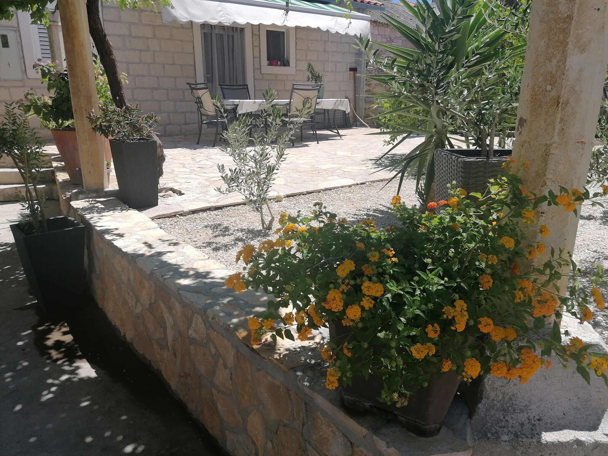 Apartment Ruža 34542-A1