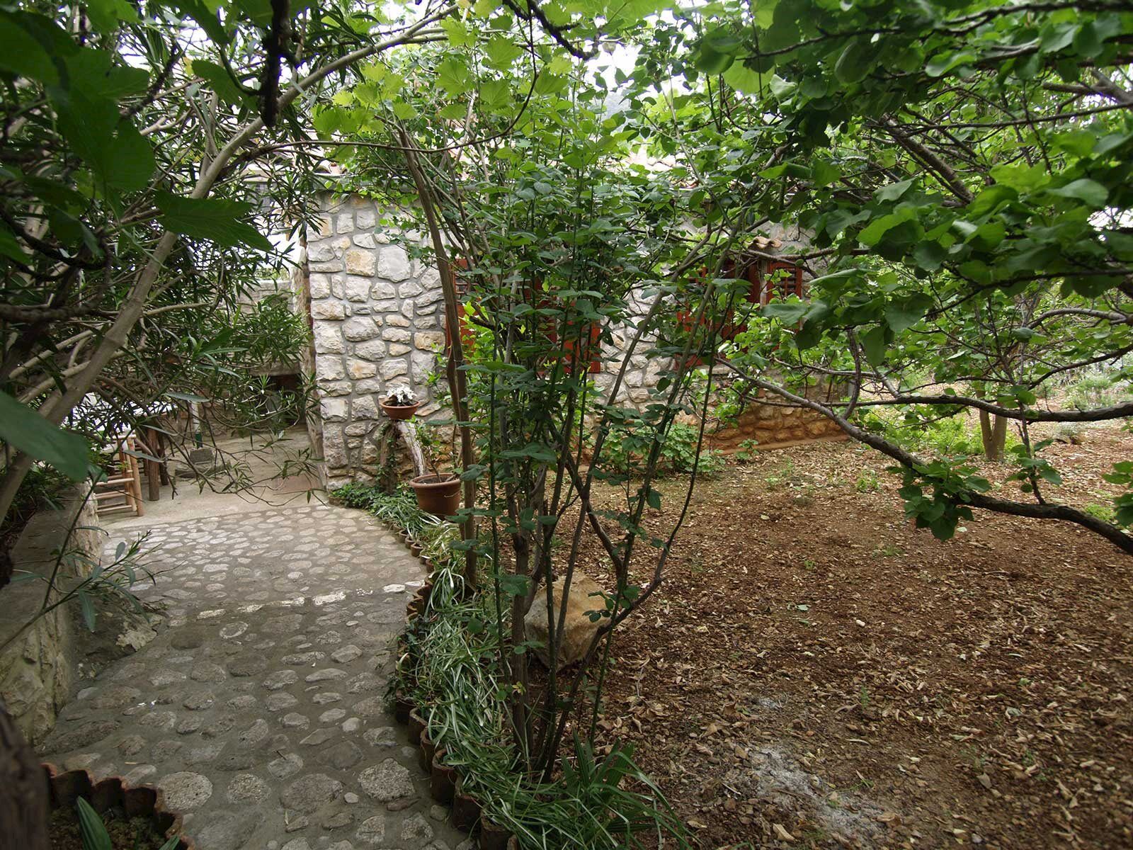 Apartments Cvita 64511-A2