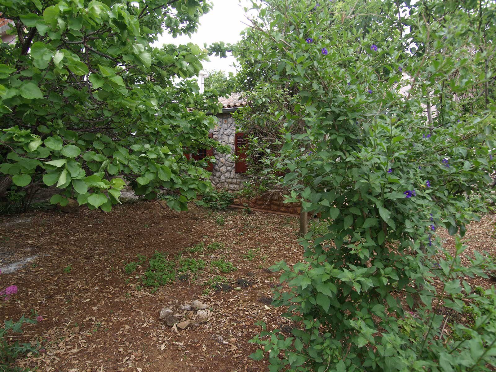 Apartments Cvita 64511-A2
