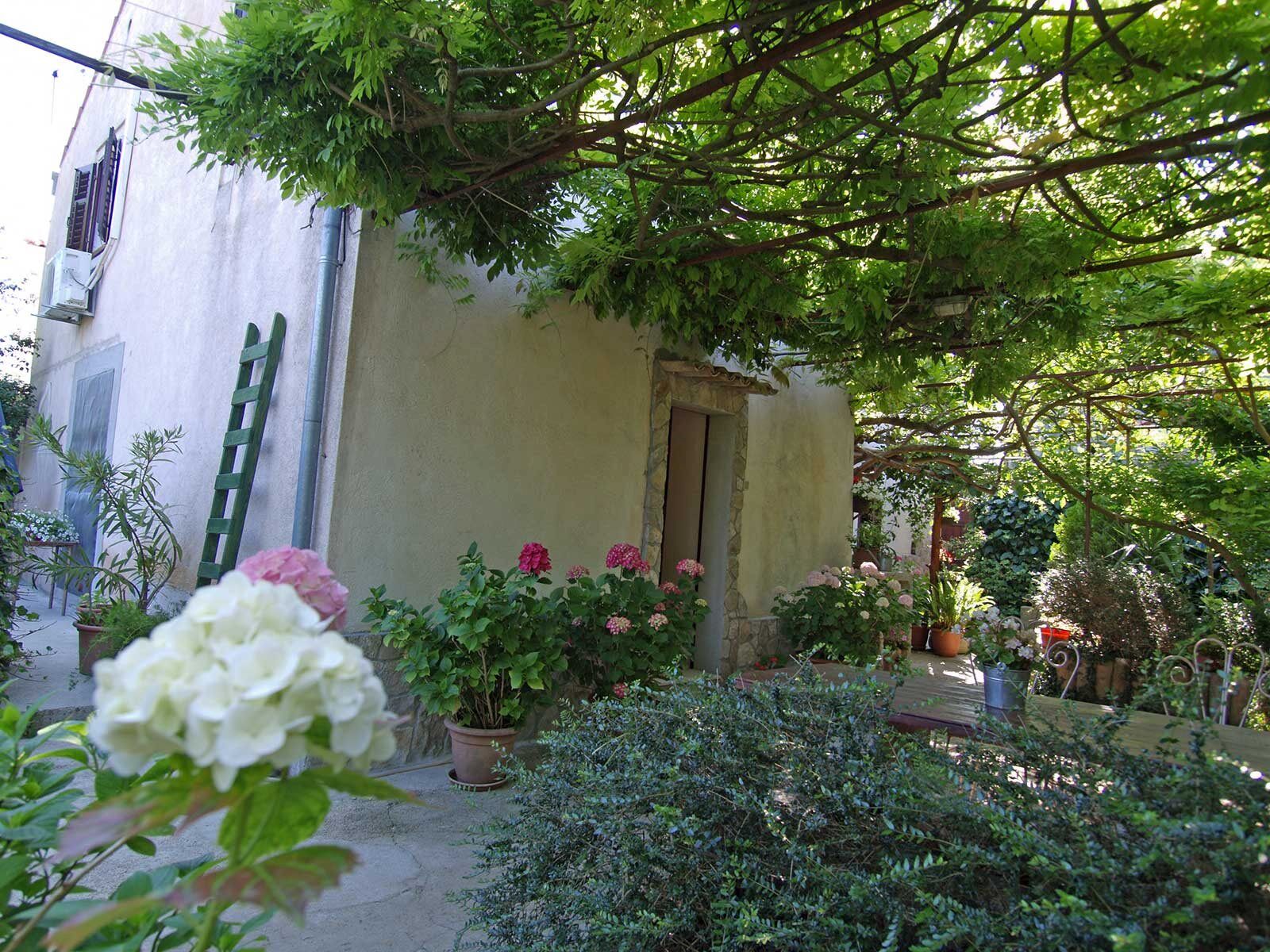 Apartment Renata 64771-A2