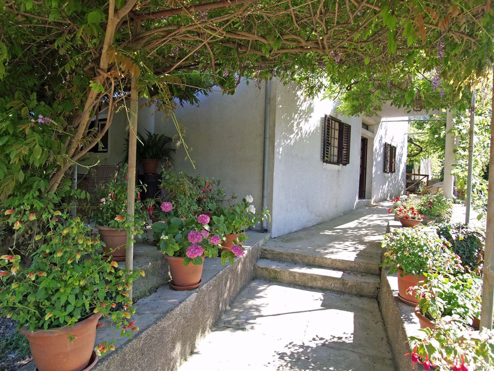 Apartment Renata 64771-A1
