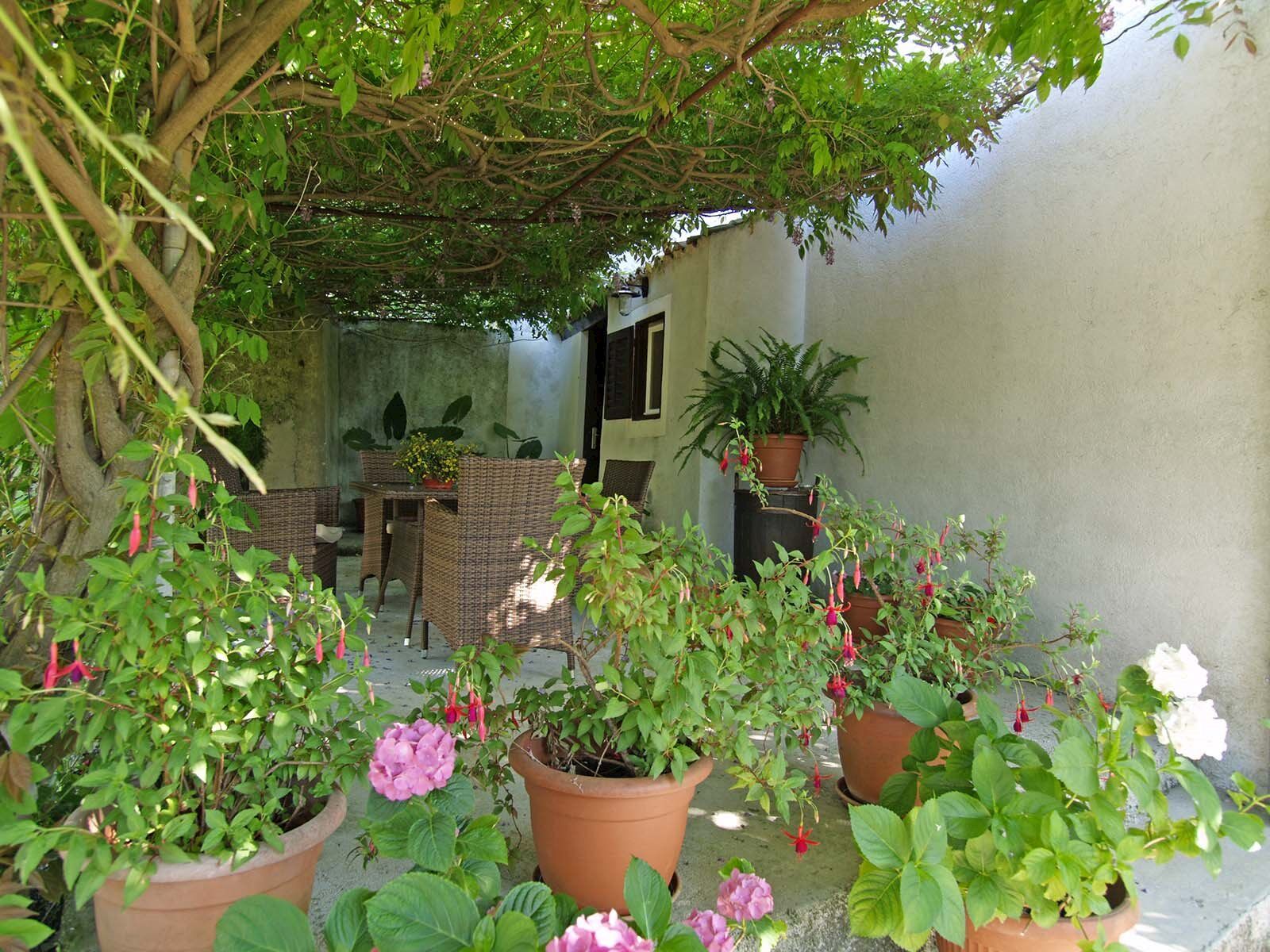 Apartment Renata 64771-A1