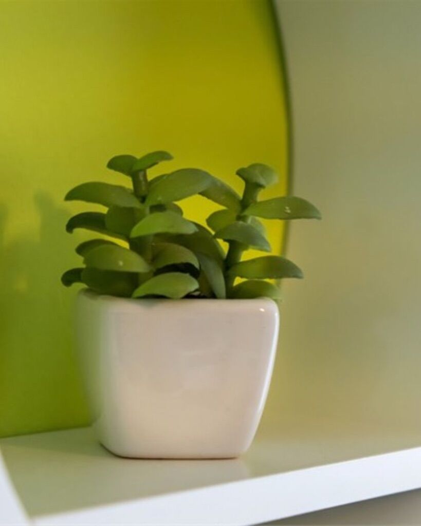 Apartment Ani 64591-A2