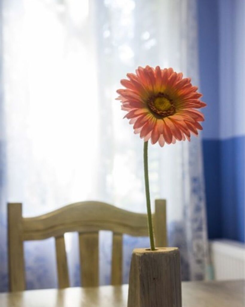 Apartment Ani 64591-A1