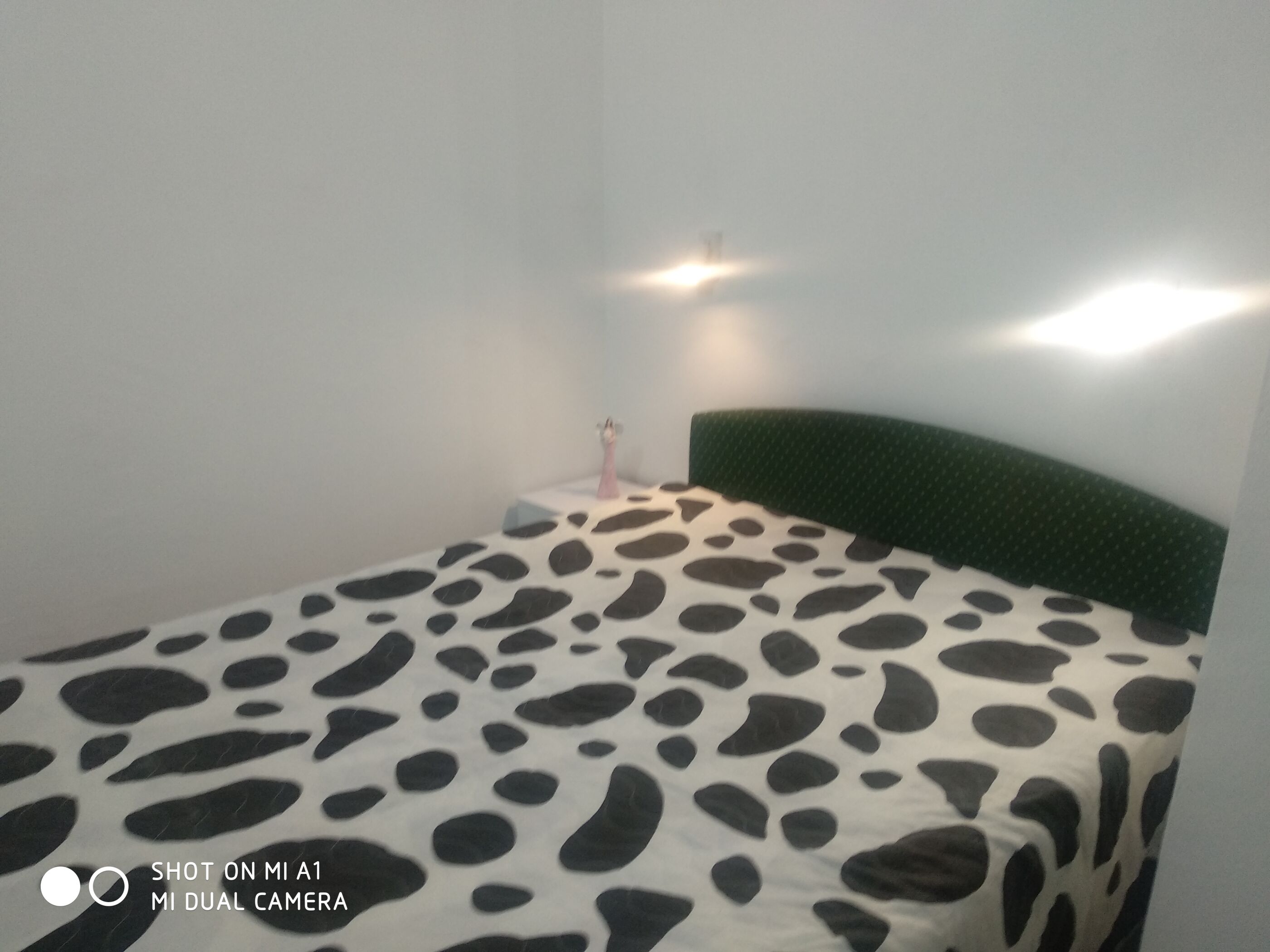 Apartments Branko 38631-A1
