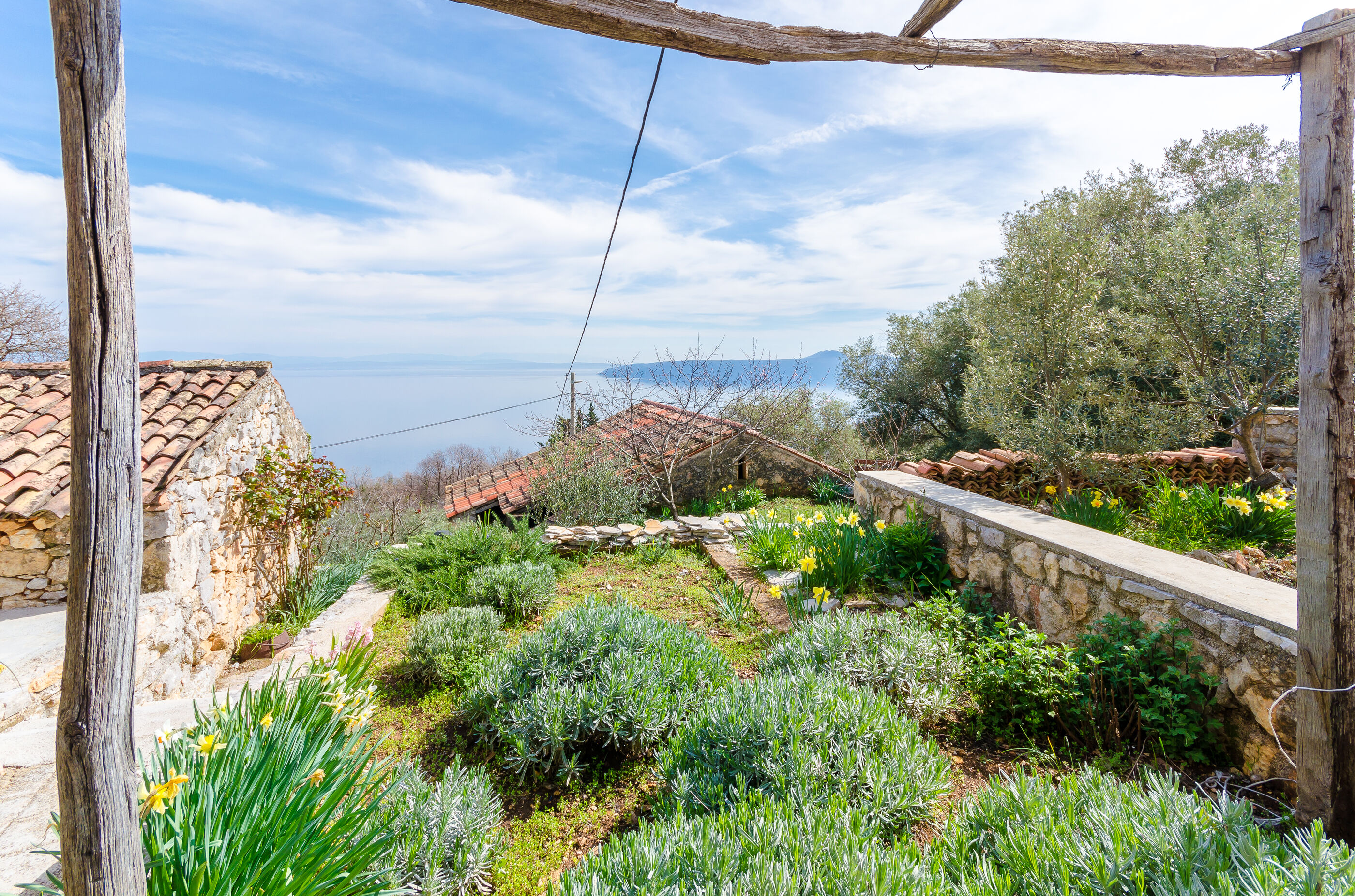 Photo of House Marija