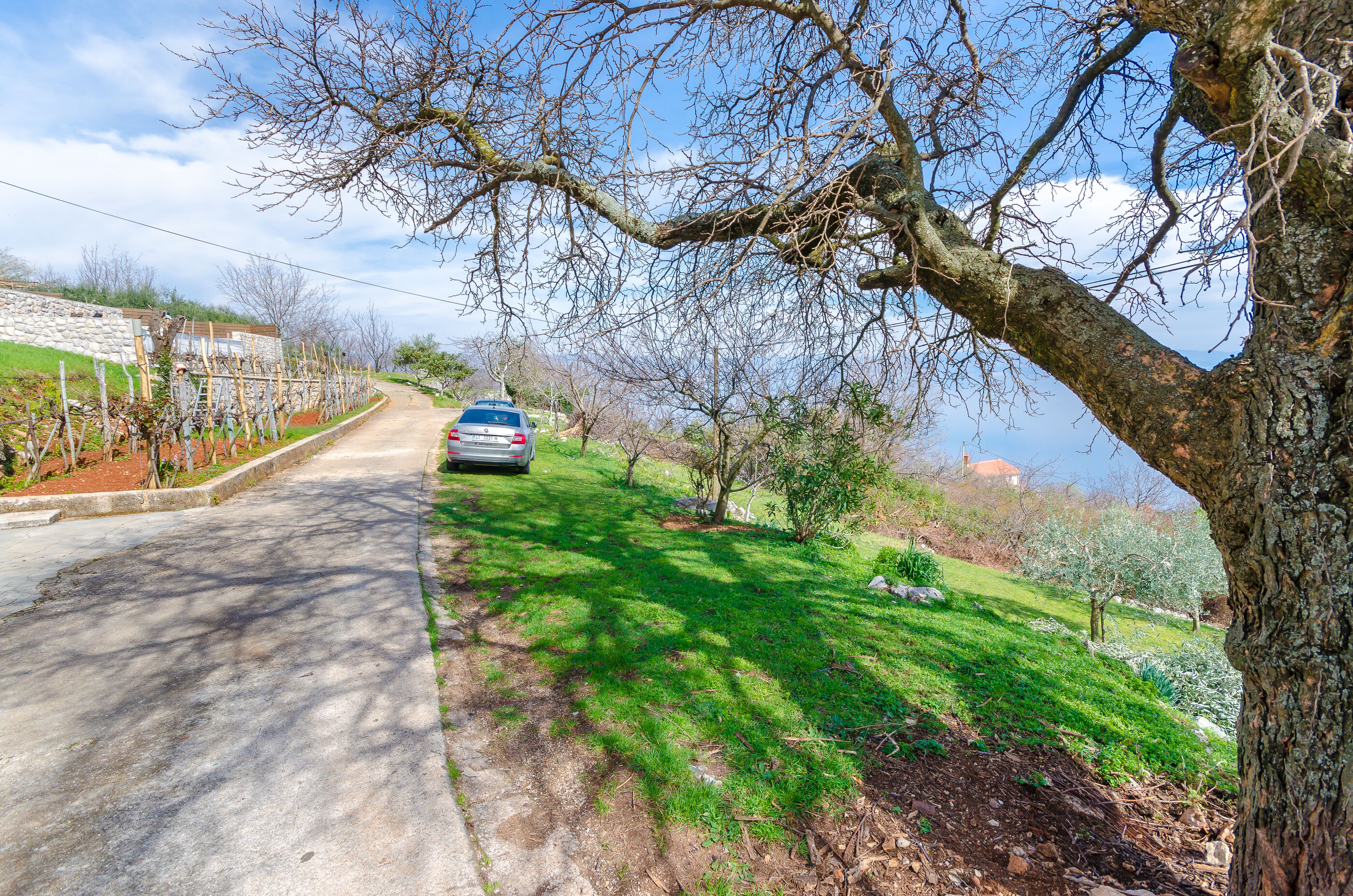 Photo of House Marija