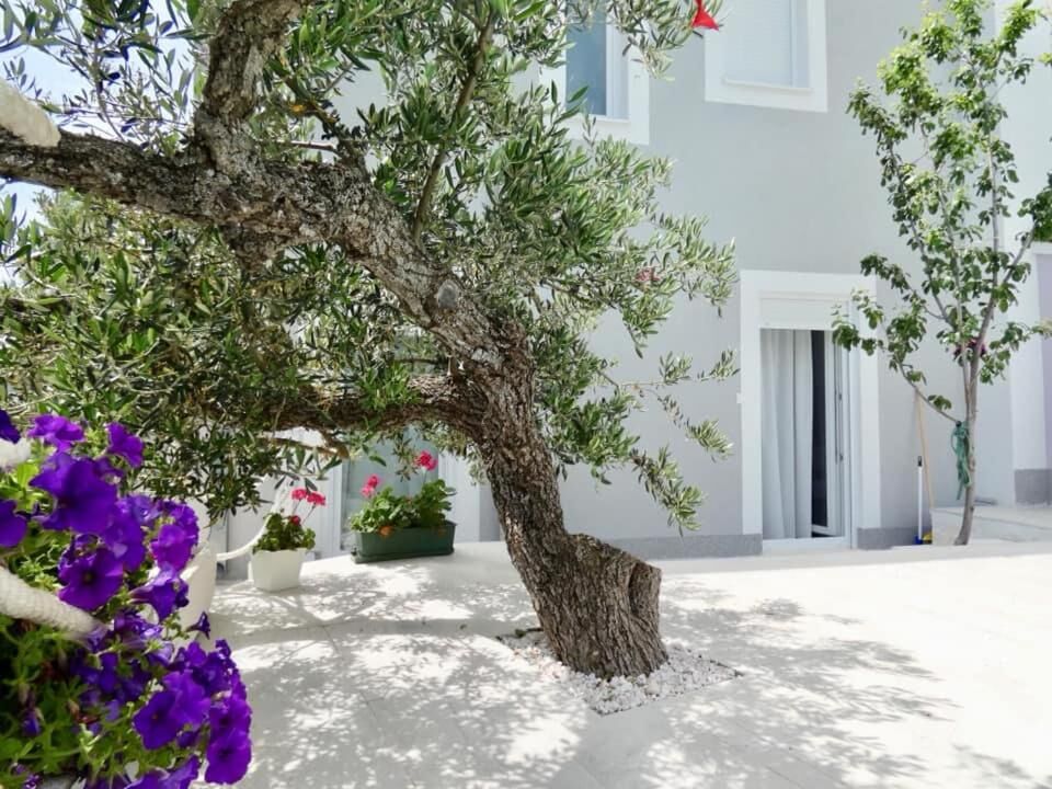 House Nani 91731-K1