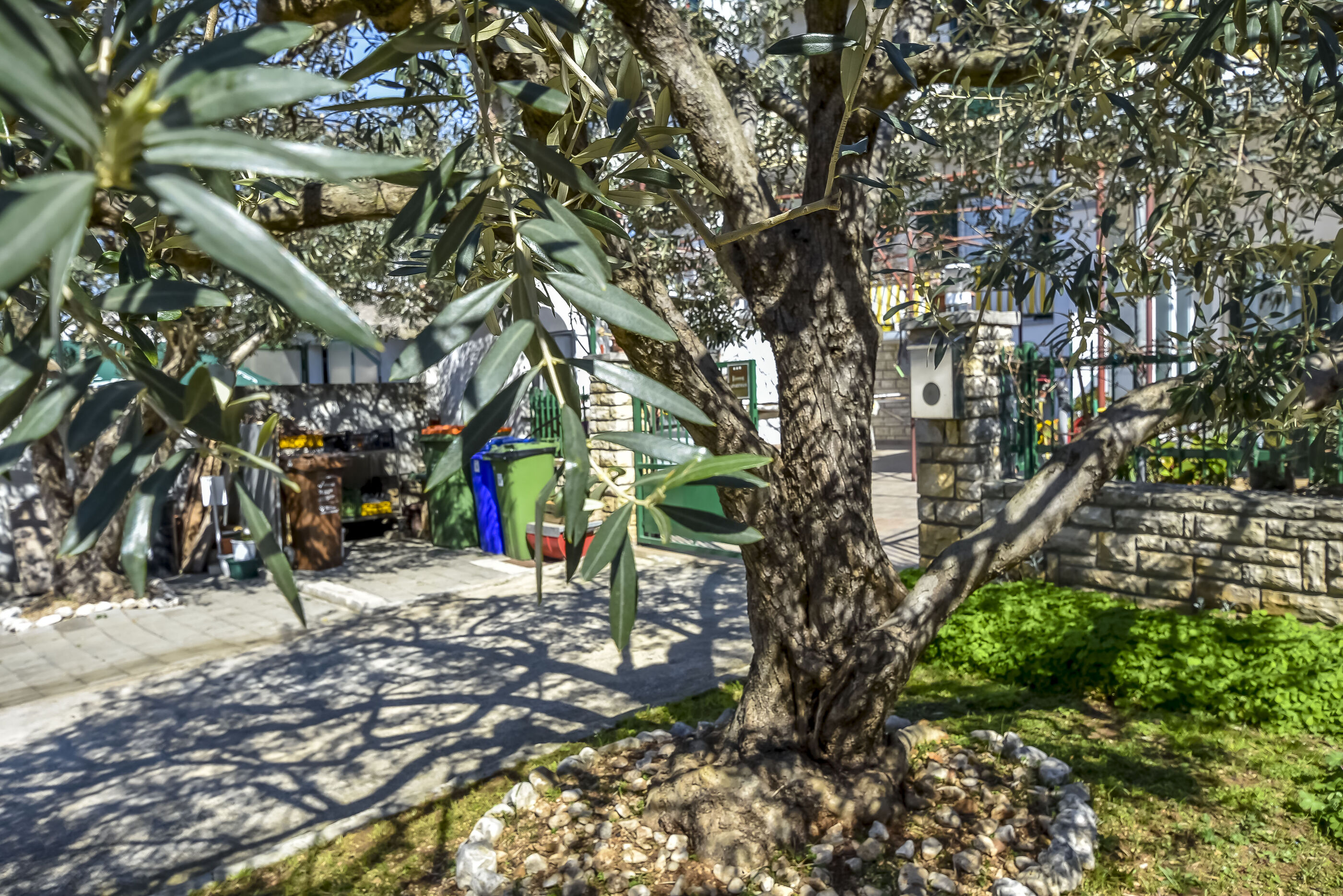 Photo of Apartments Jasmine