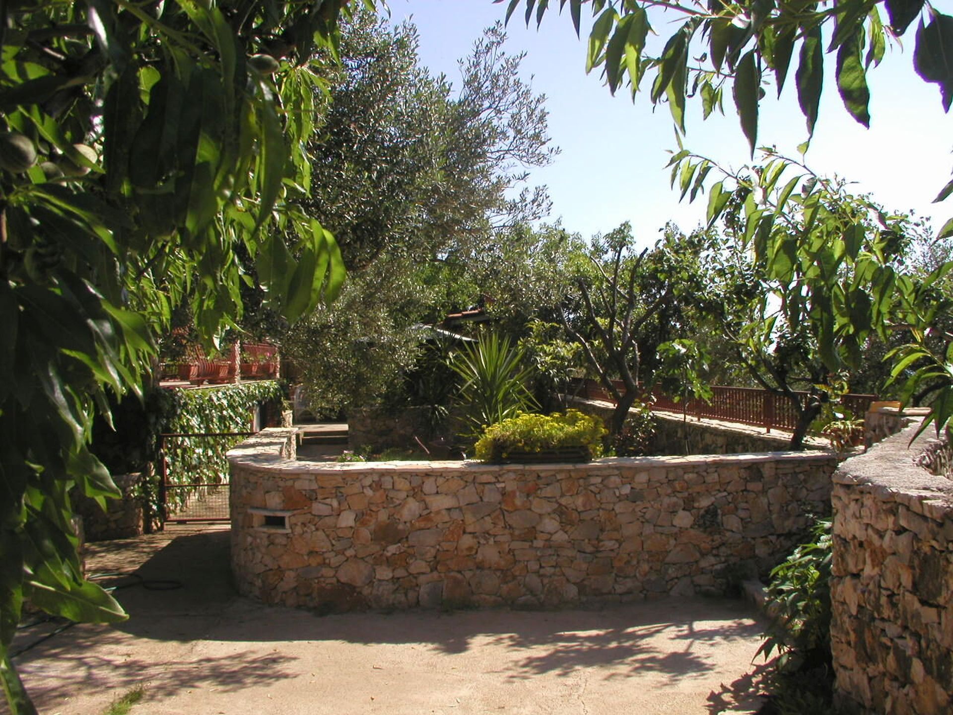 Apartments Đorđe 14251-A1