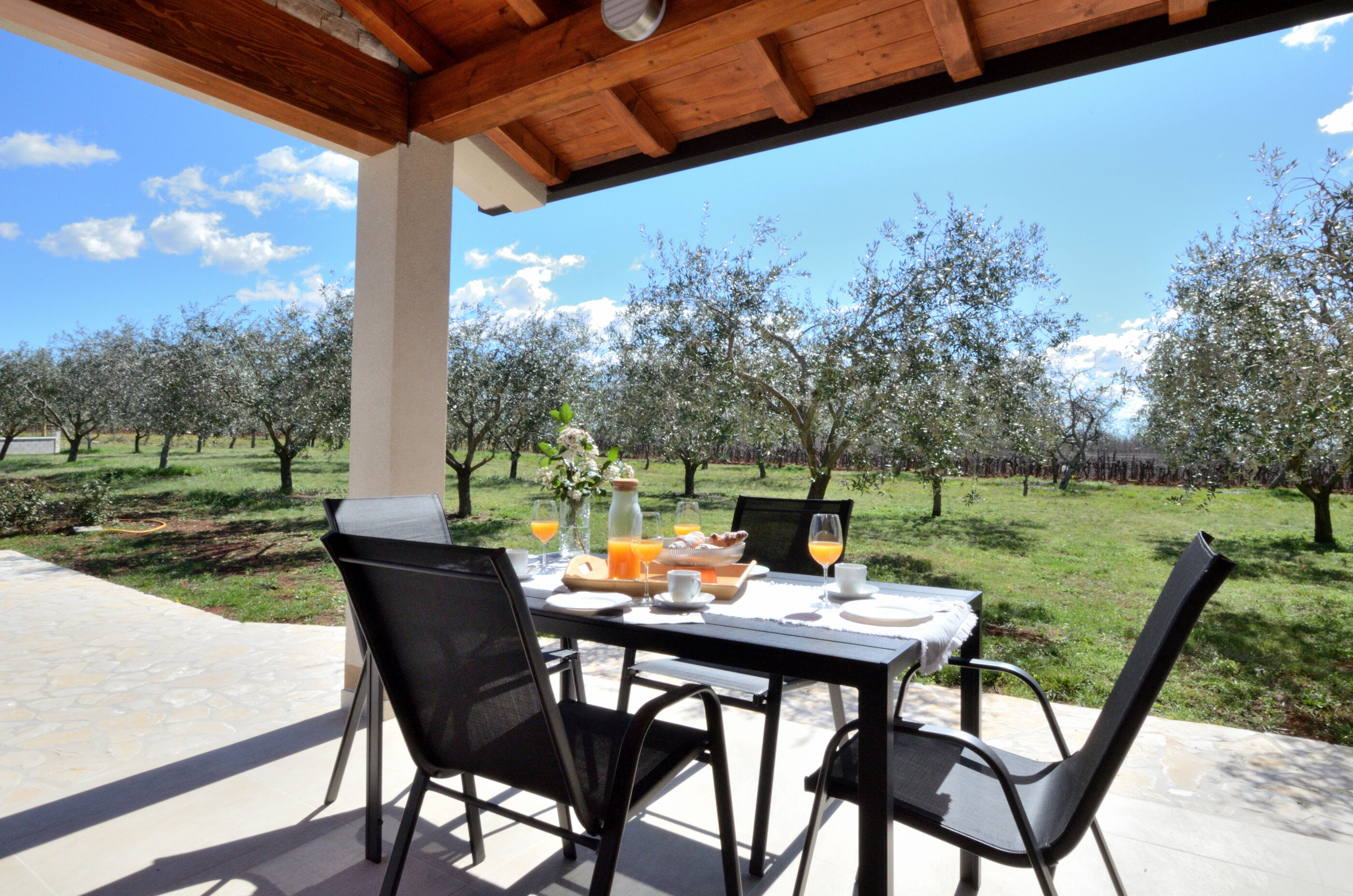 Villa Danci 91441